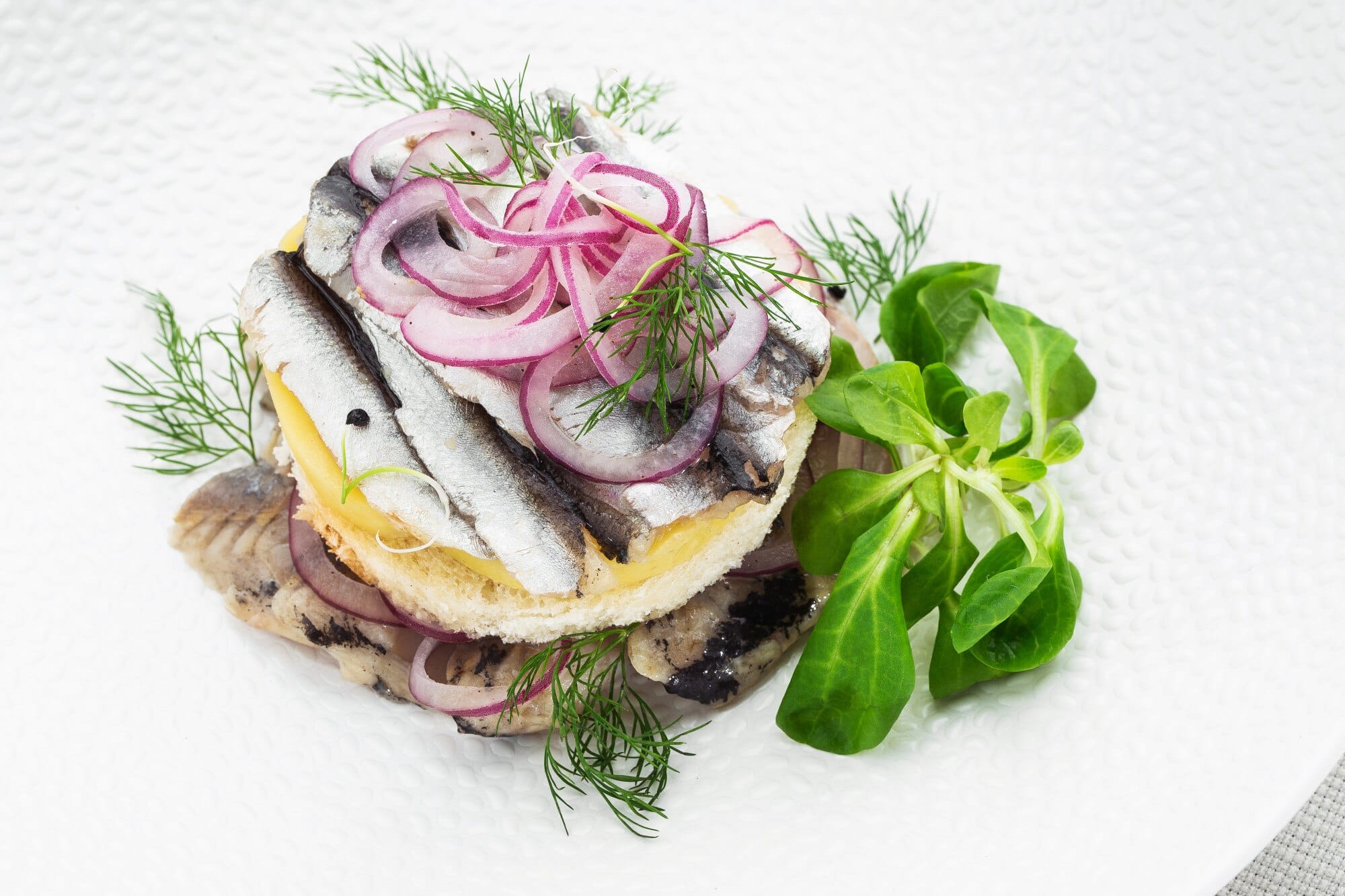 Open-faced herring appetizer with red onion and dill on a white plate