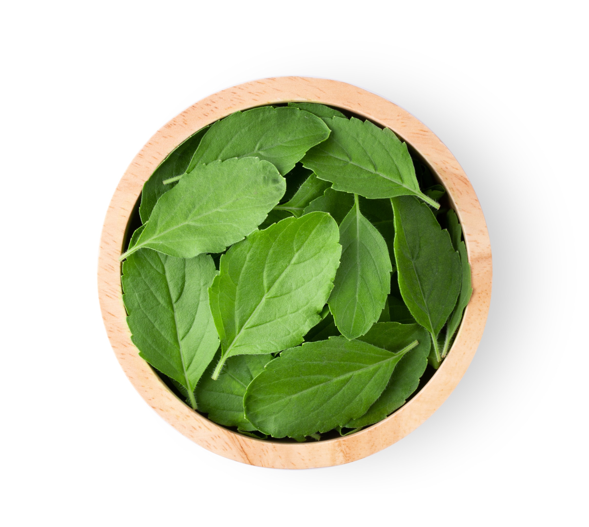 Fresh basil leaves in a bowl