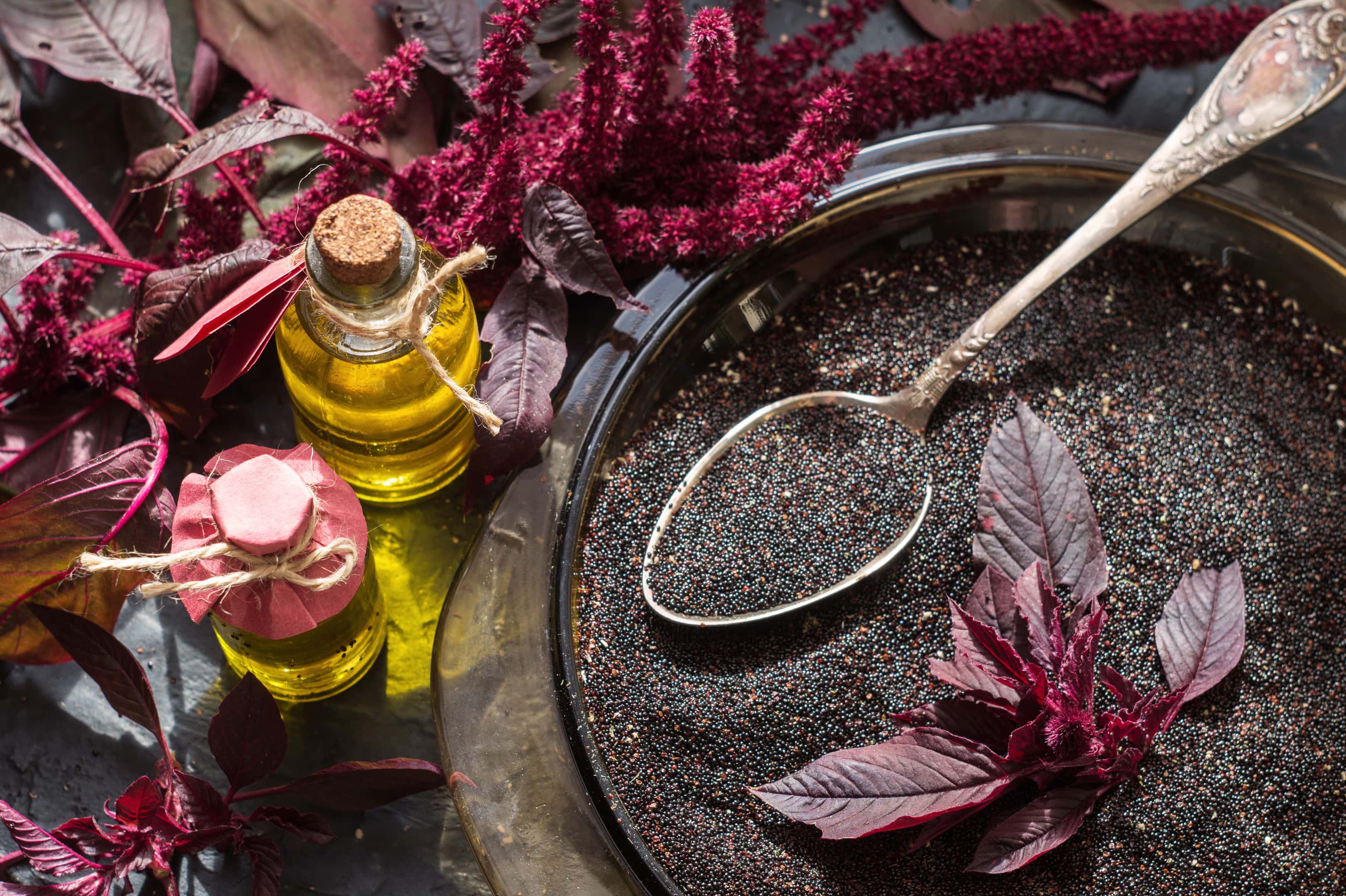 Bottles with amaranth oil and amaranth seeds in a bowl