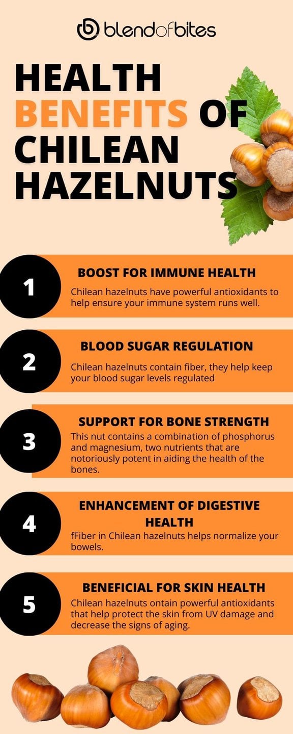 Chilean Hazel Health Benefits Infographic Jpeg