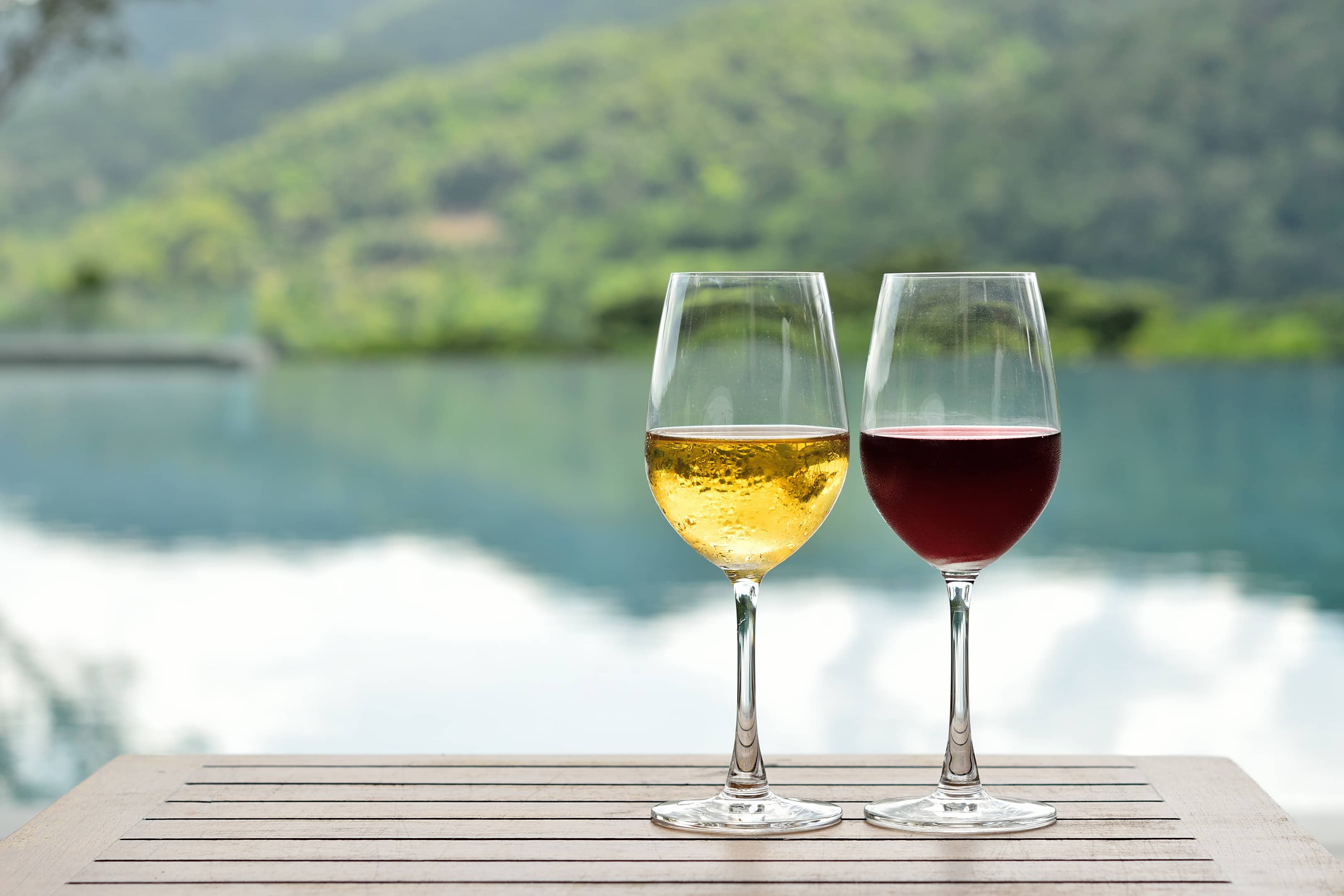 Glass of white and red wine