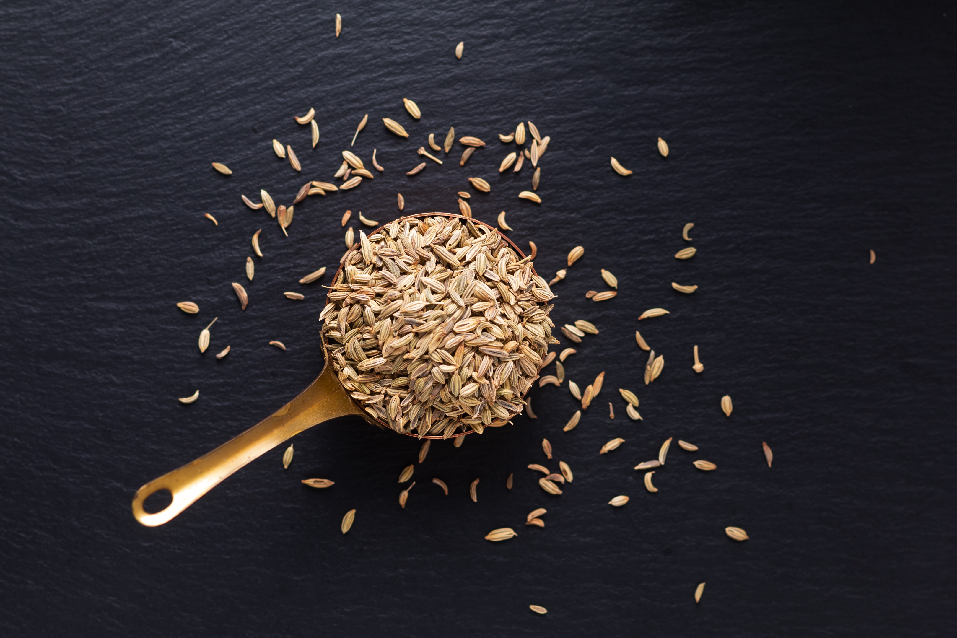 Cumin seeds in metal spoon