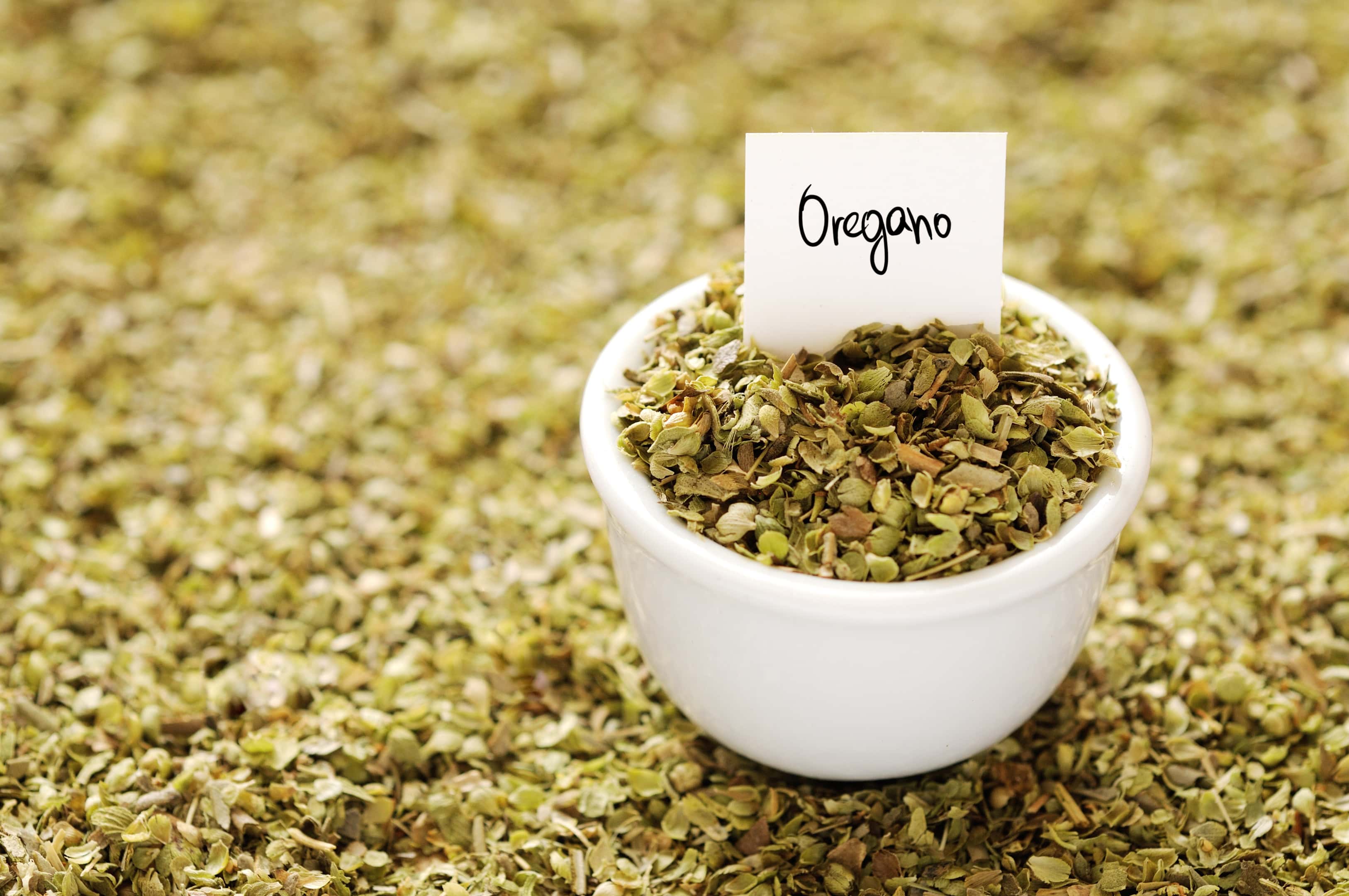 Dried oregano in a bowl