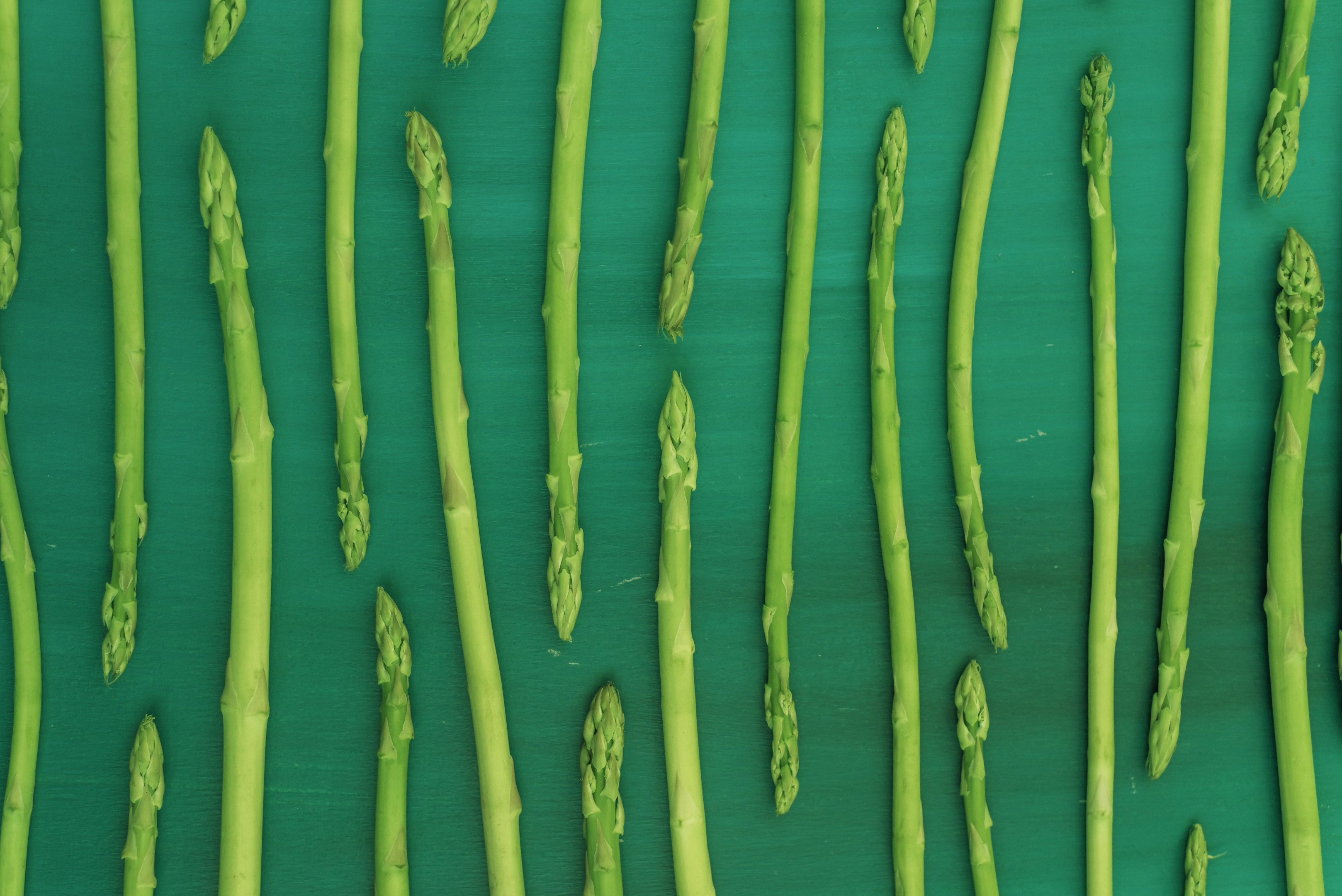 Fresh green asparagus on green background