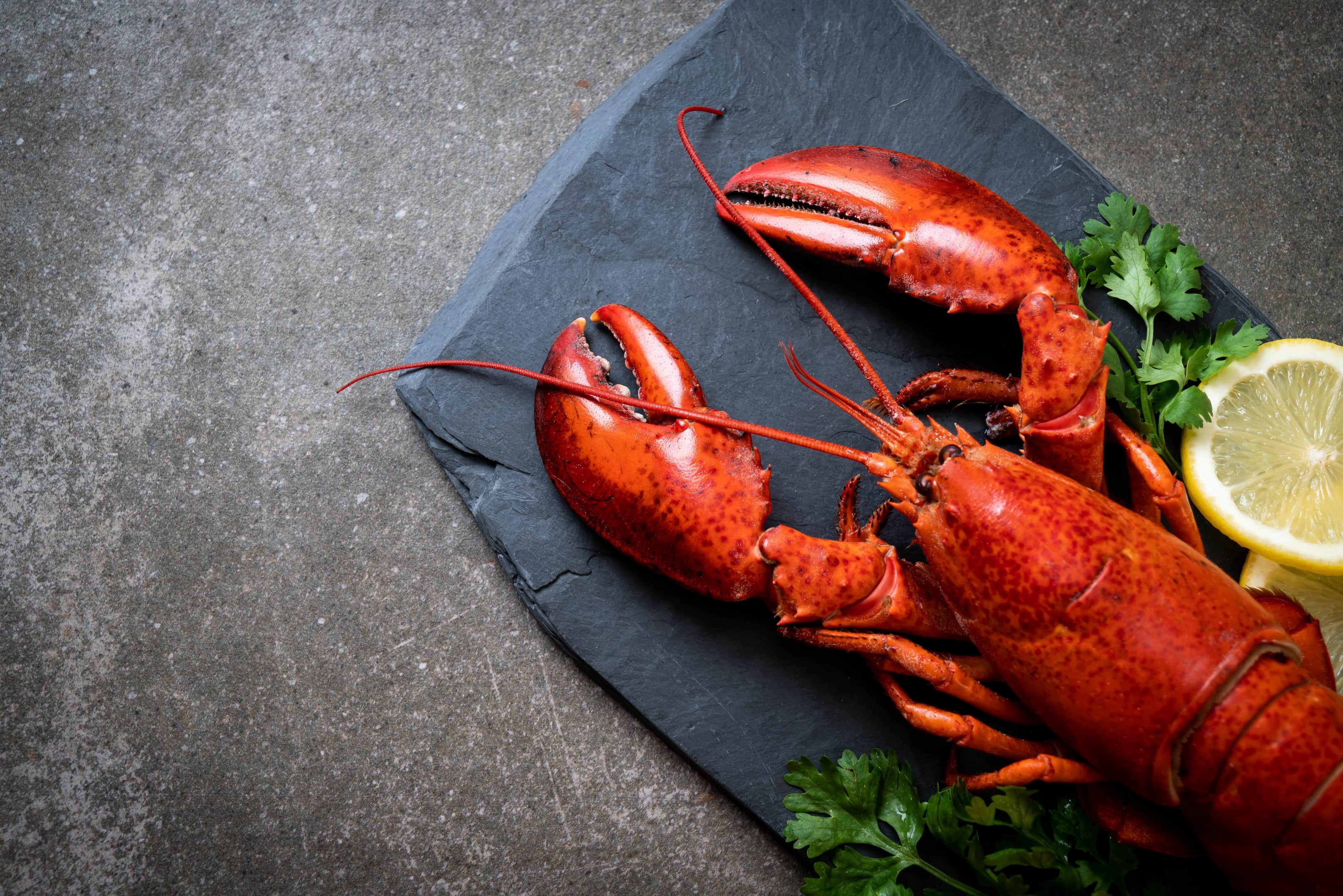 Cooked lobster with lemon