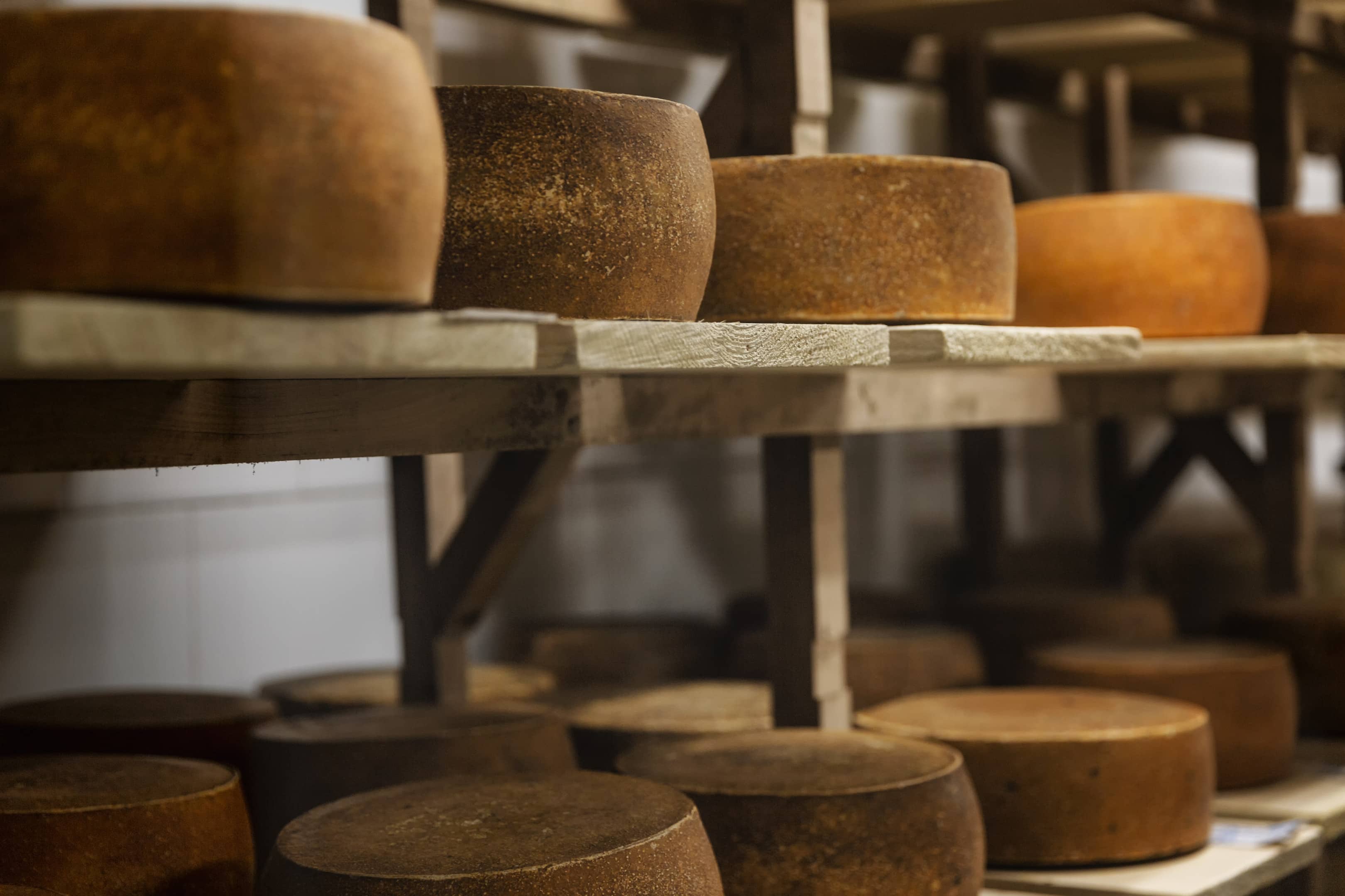Loops of cheese on wooden shelves