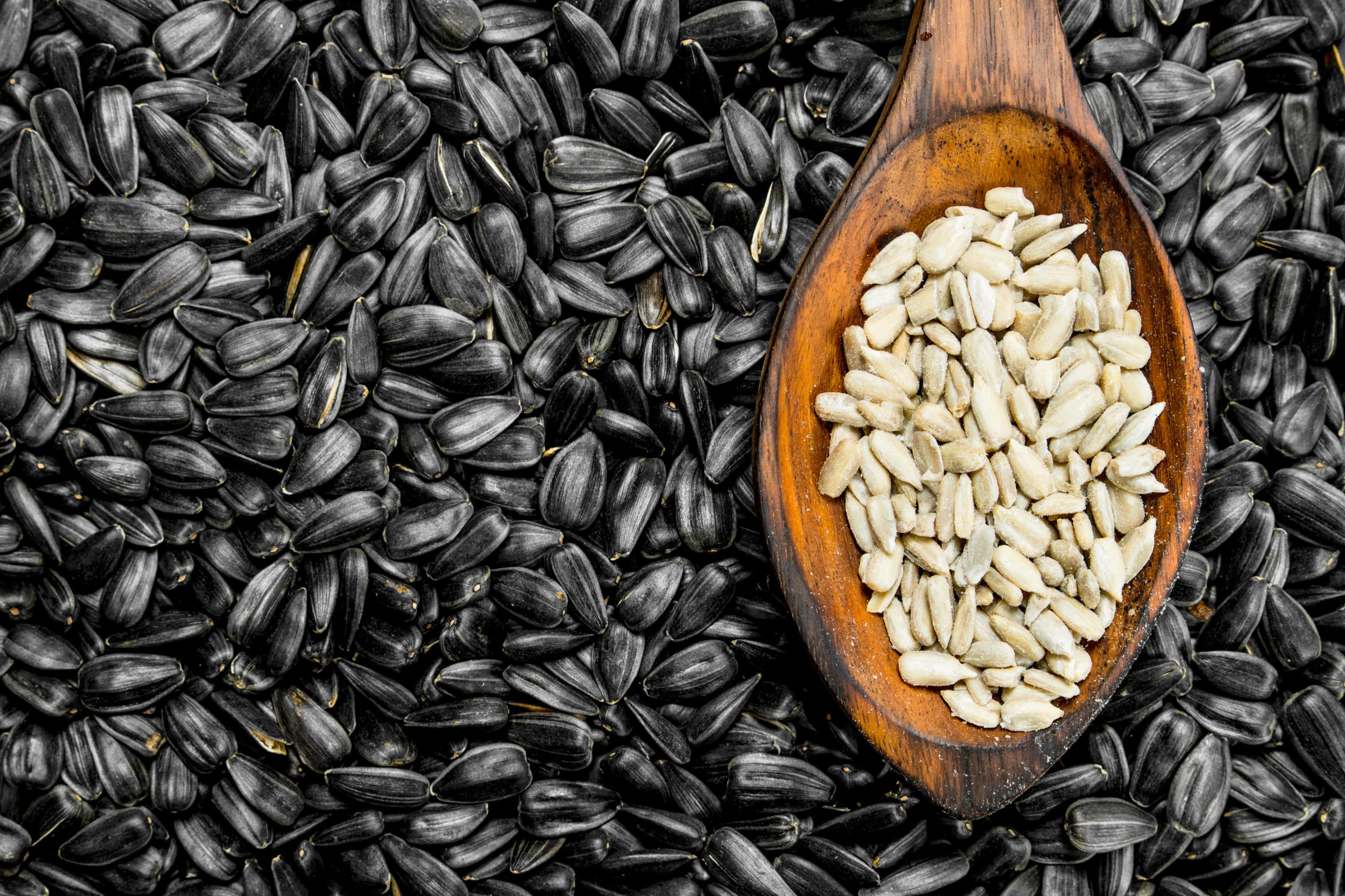 Peeled sunflower seeds in a wooden spoon on unpeeled sunflower seeds surface
