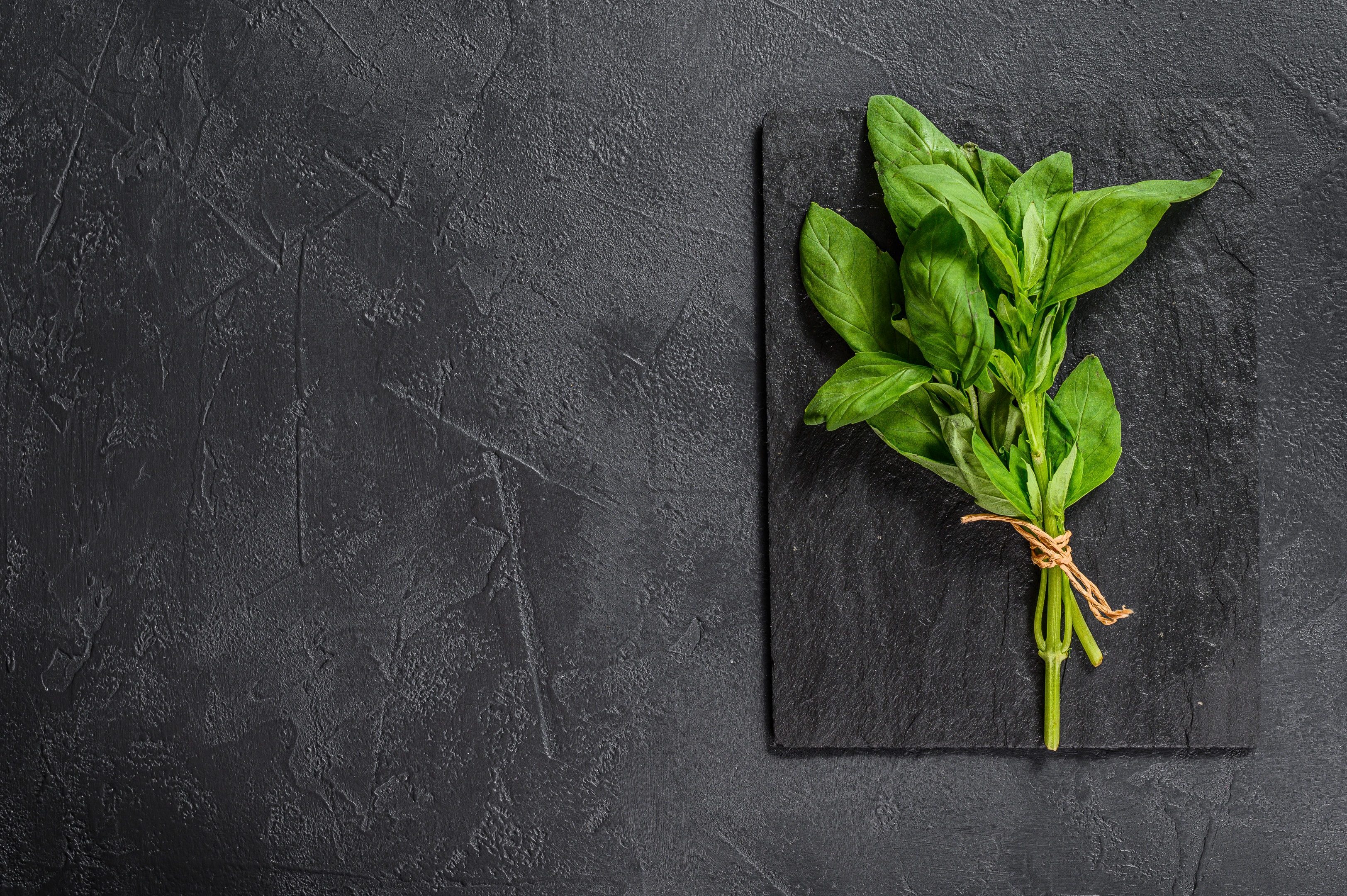 Sprig of fresh basil on stone board on stone table
