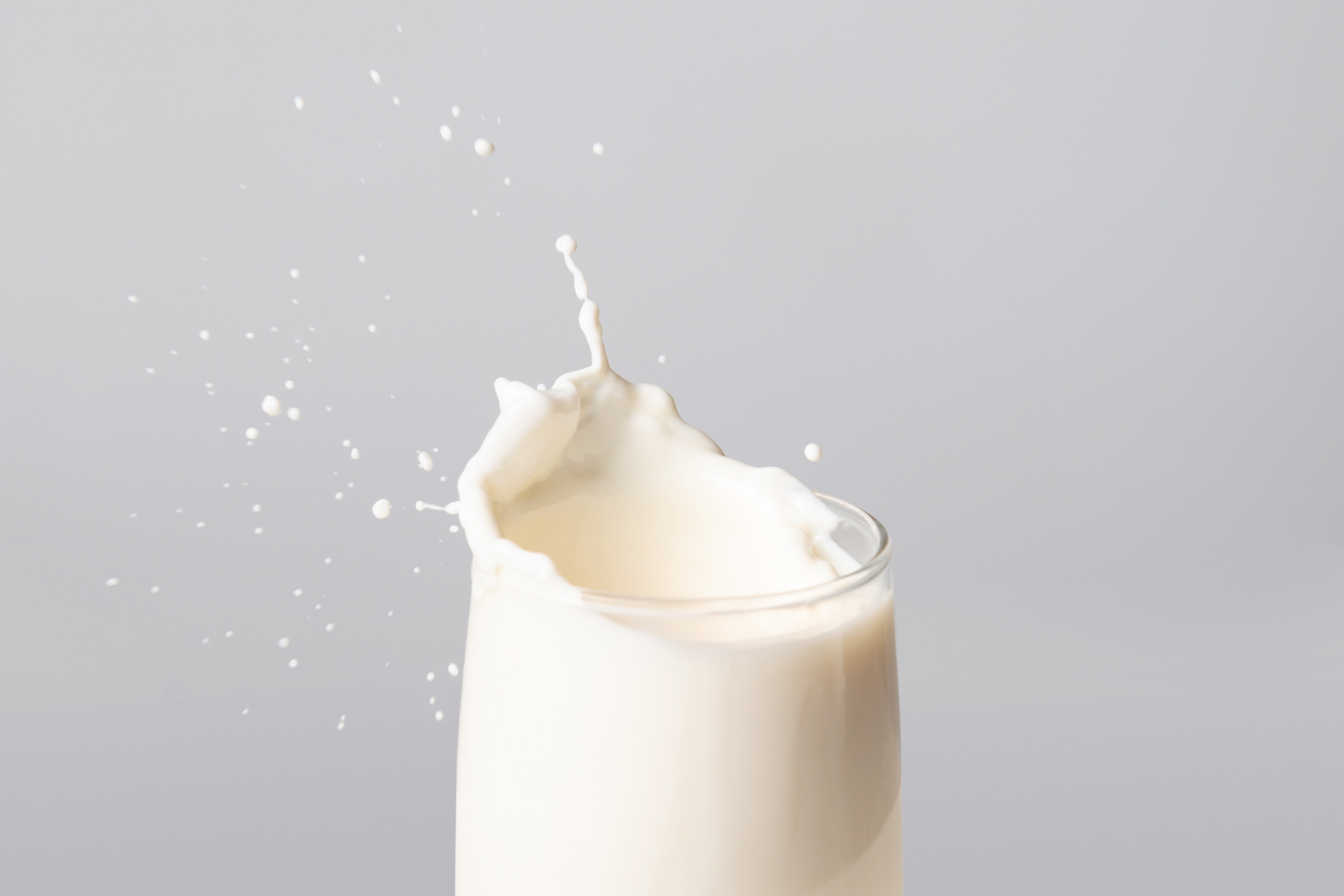 Whole milk splash edge in glass on grey background