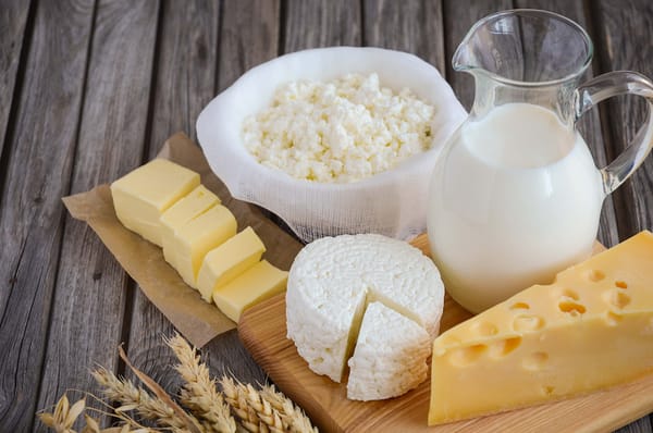 Dairy products — milk, cheese, butter, and cottage cheese