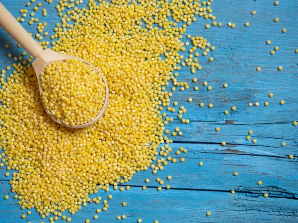 Foxtail millet on a wooden kitchen table