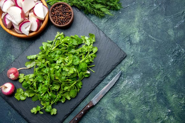 Fresh coriander bundle with radishes