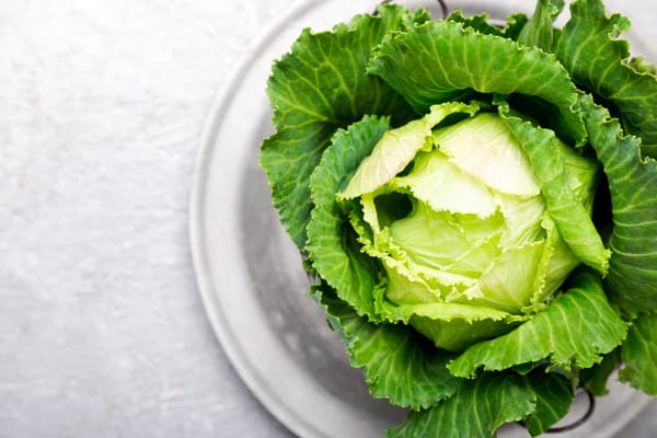 Fresh Green Cabbage in Metal Plate on Grey Surface