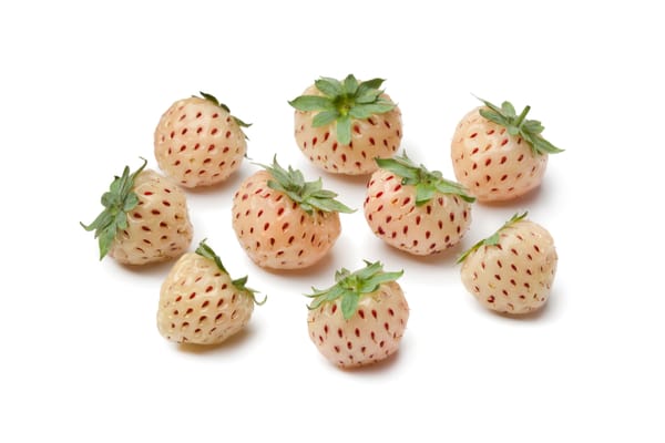 Fresh pineberries assortment