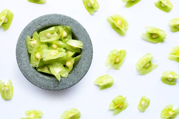 Moringa oleifera seeds in stone mortar