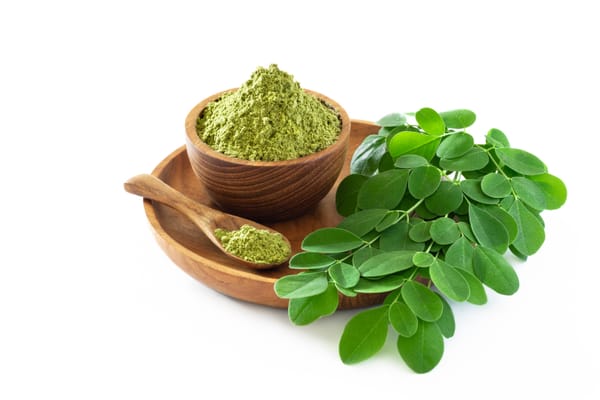Moringa powder (Moringa Oleifera) with fresh moringa leaves