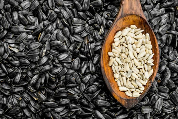Peeled sunflower seeds in a wooden spoon on unpeeled sunflower seeds surface