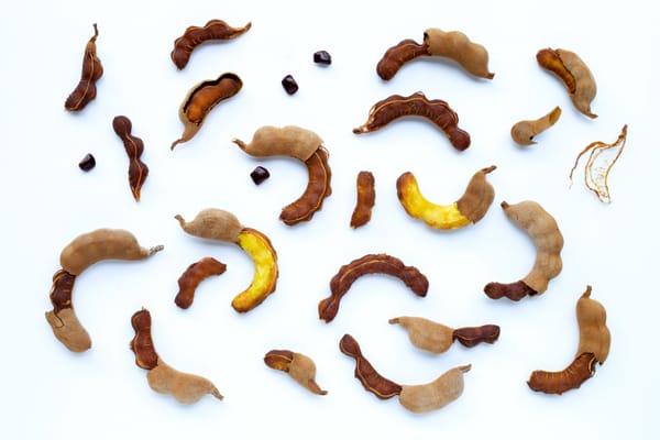 Tamarind — tropical fruit