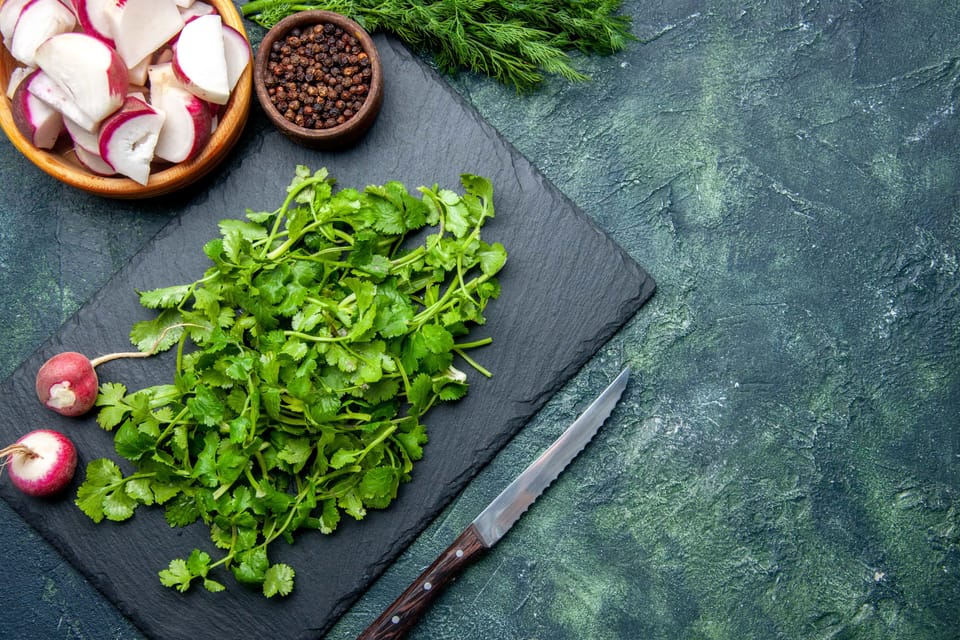 Fresh coriander bundle with radishes