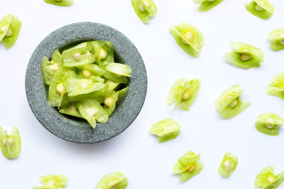 Moringa oleifera seeds in stone mortar