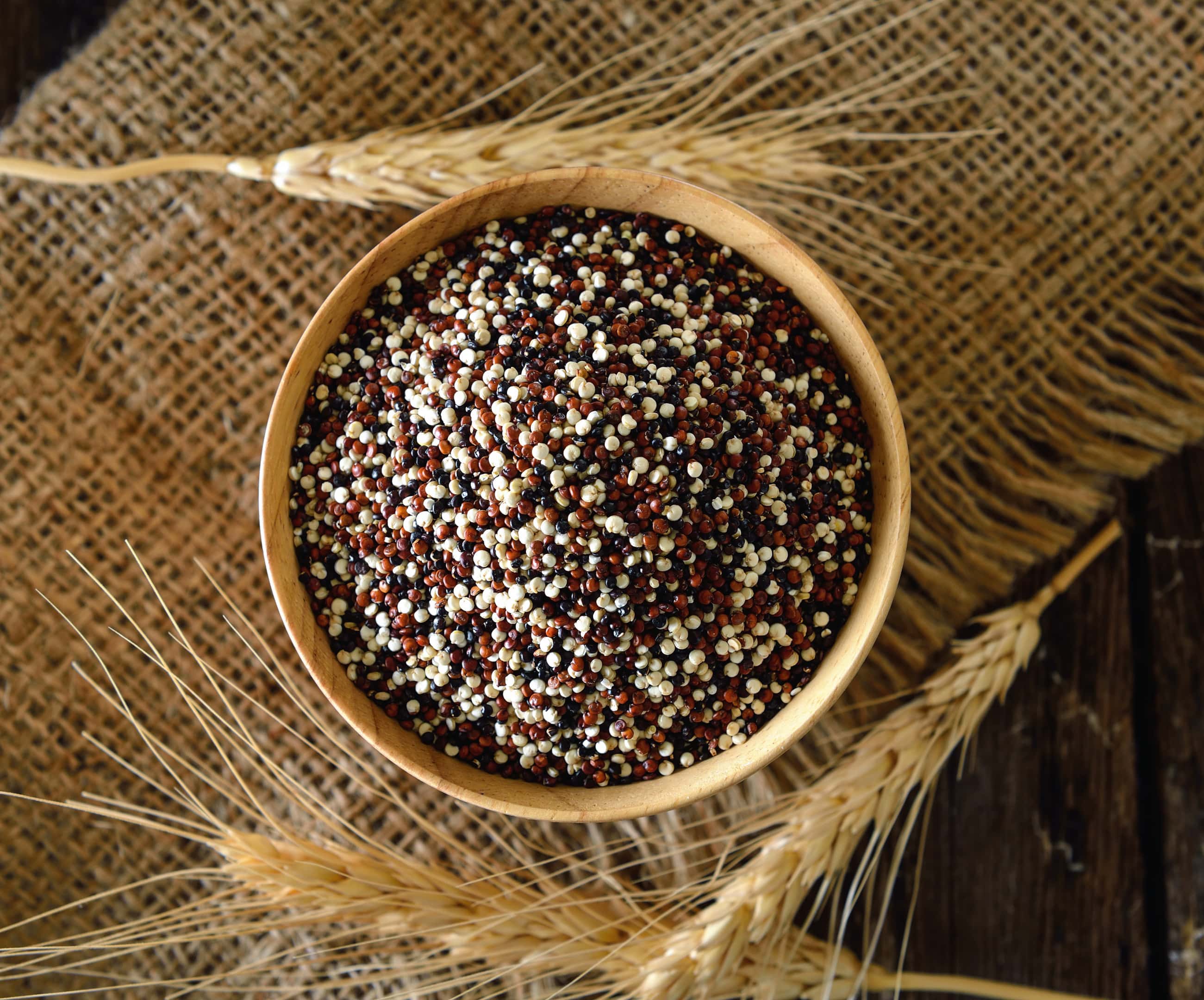 Graines de quinoa en bol