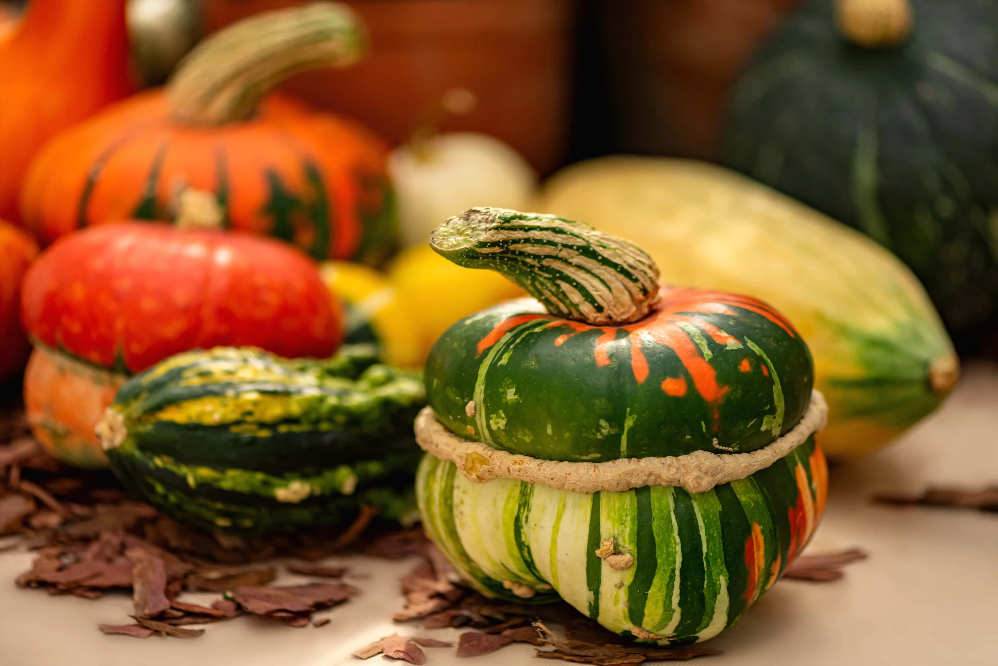 Squash is on our list of foods that strengthen cervix