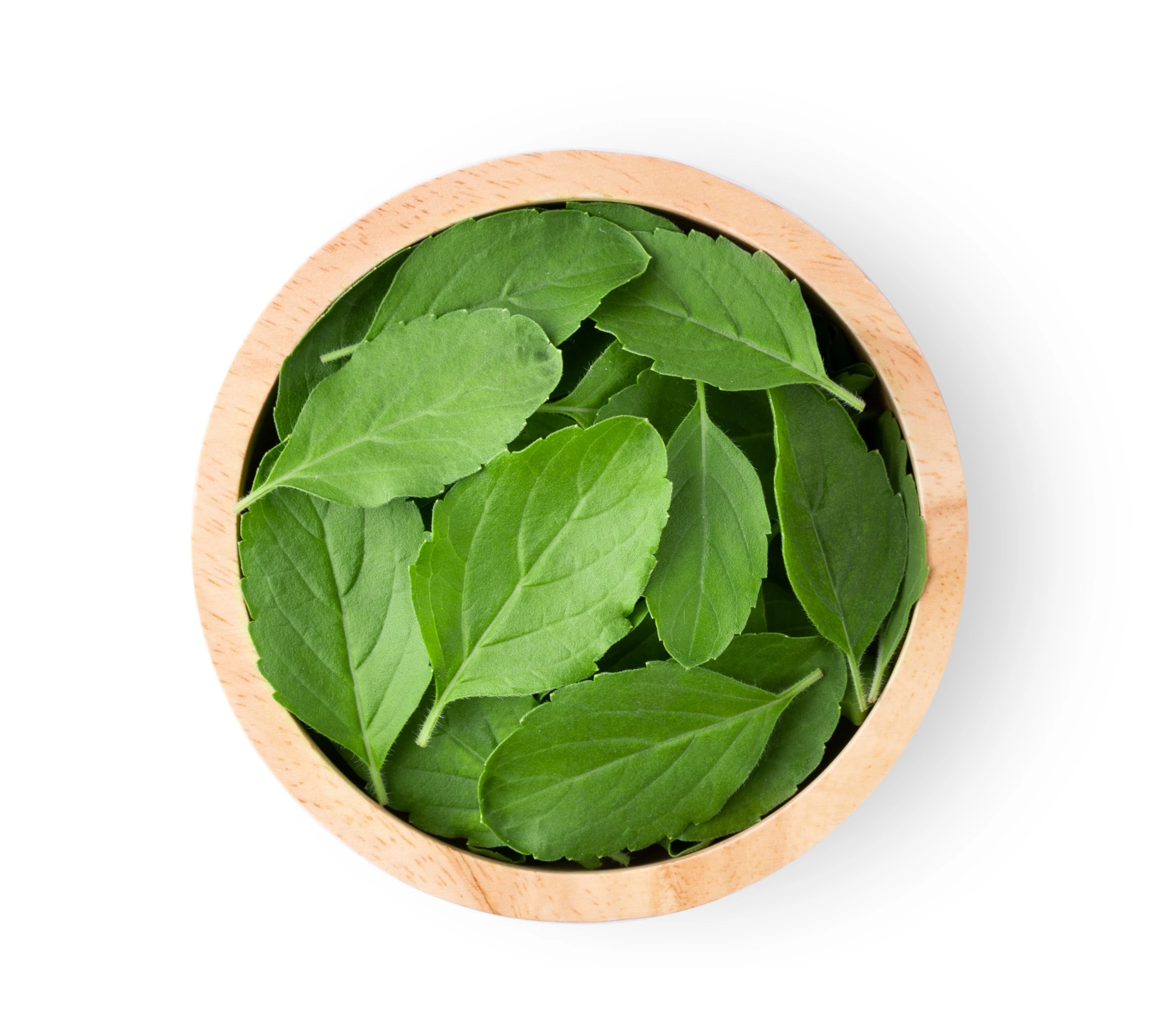 Basil leaves in wooden bowl on white table