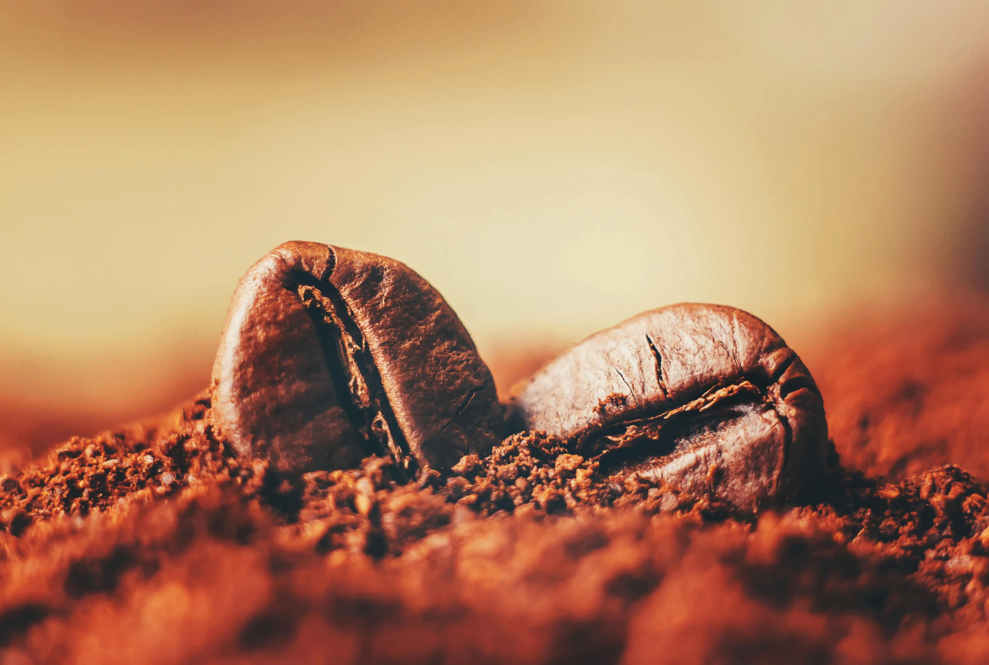 Coffee bean on ground coffee