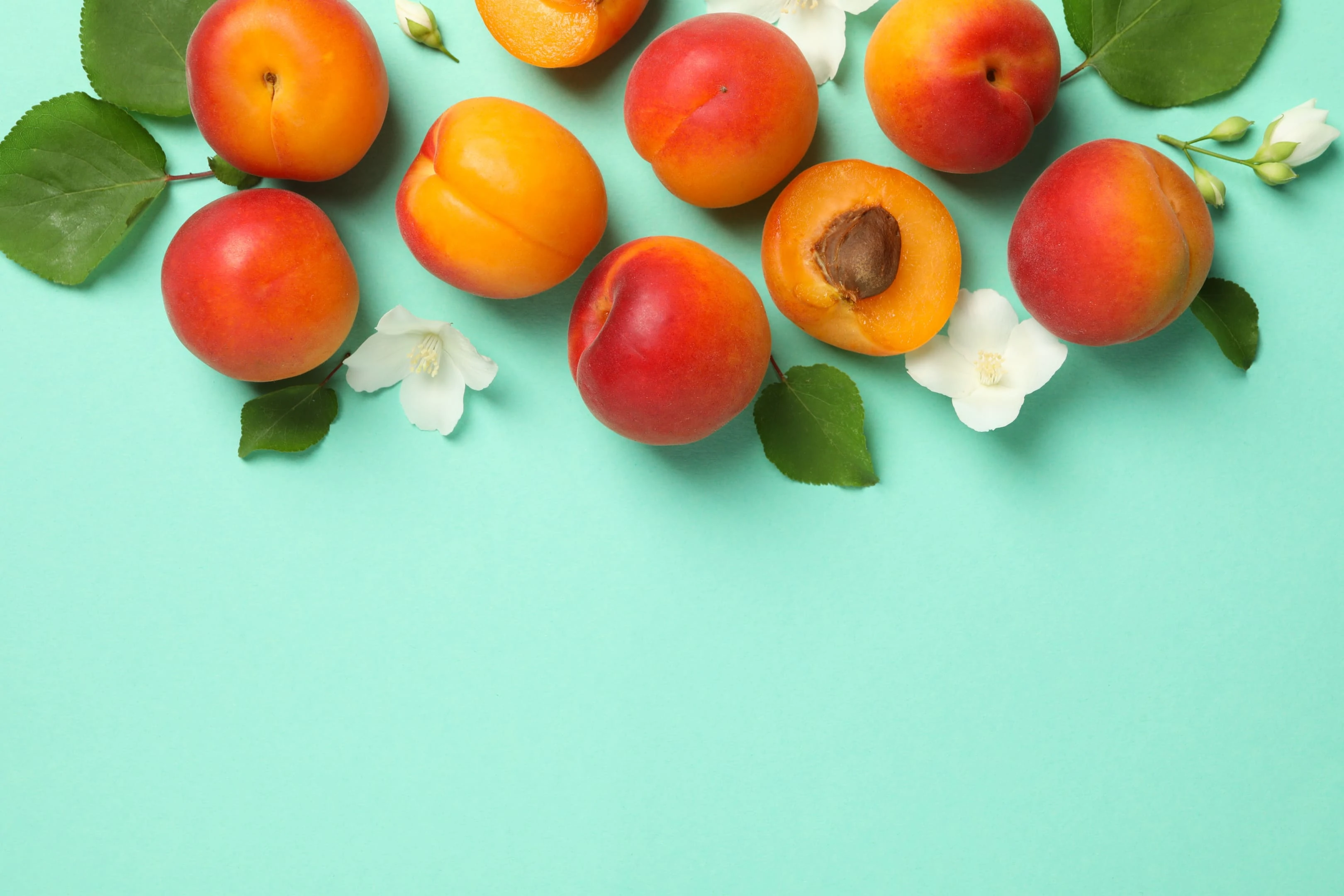 Fresh apricots on mint background