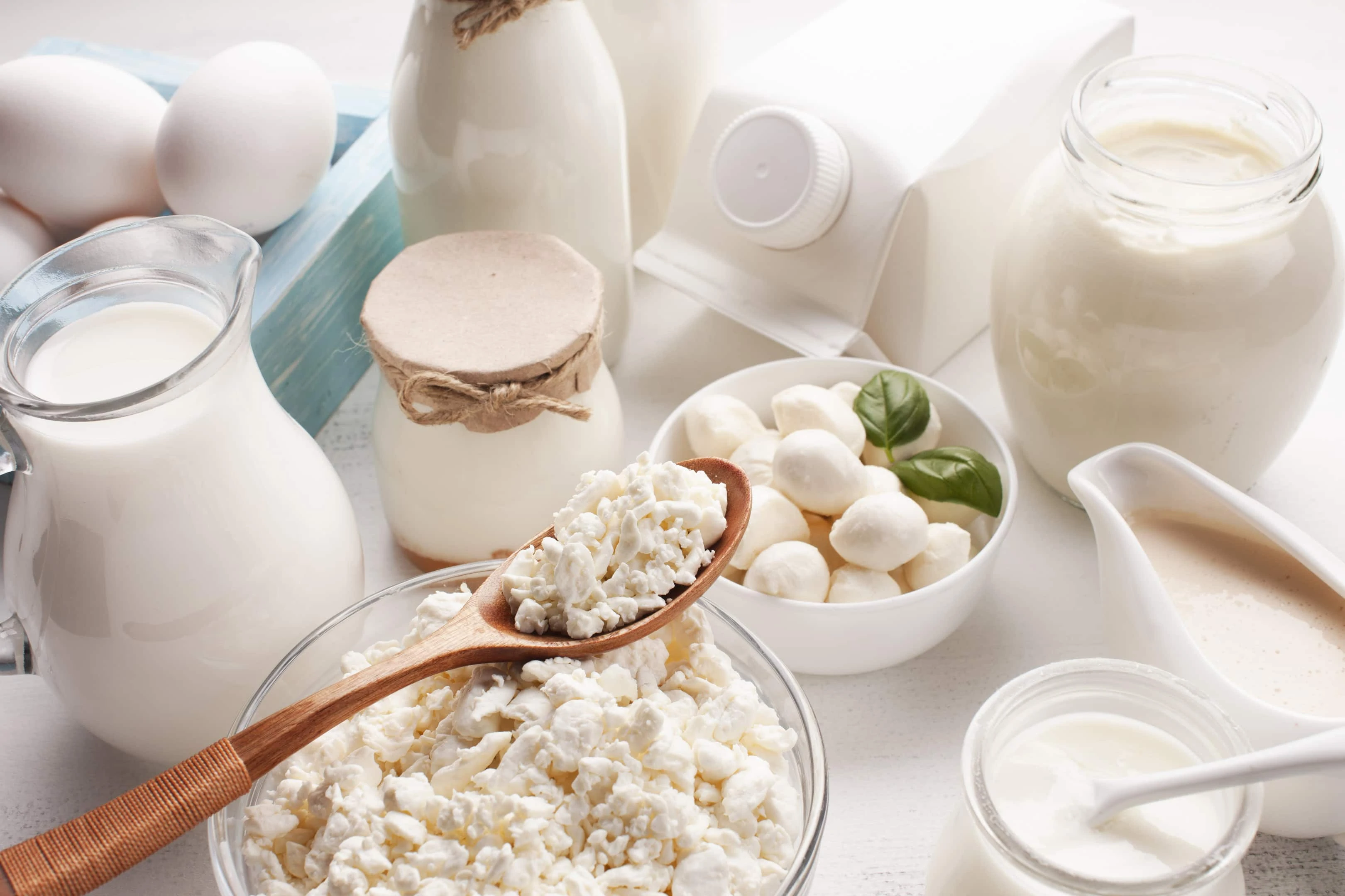 Processed dairy products