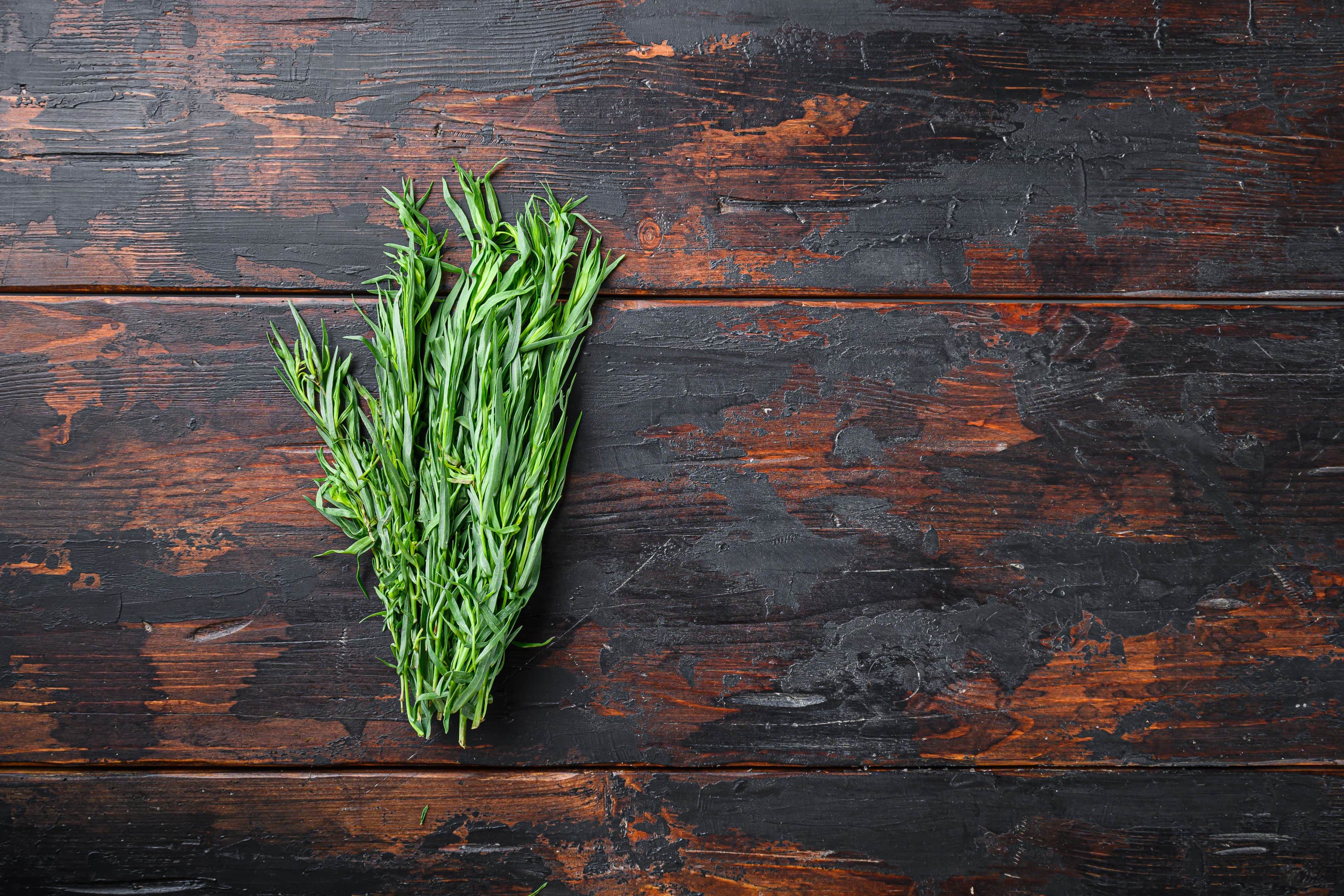 Fresh tarragon bunch on wooden table