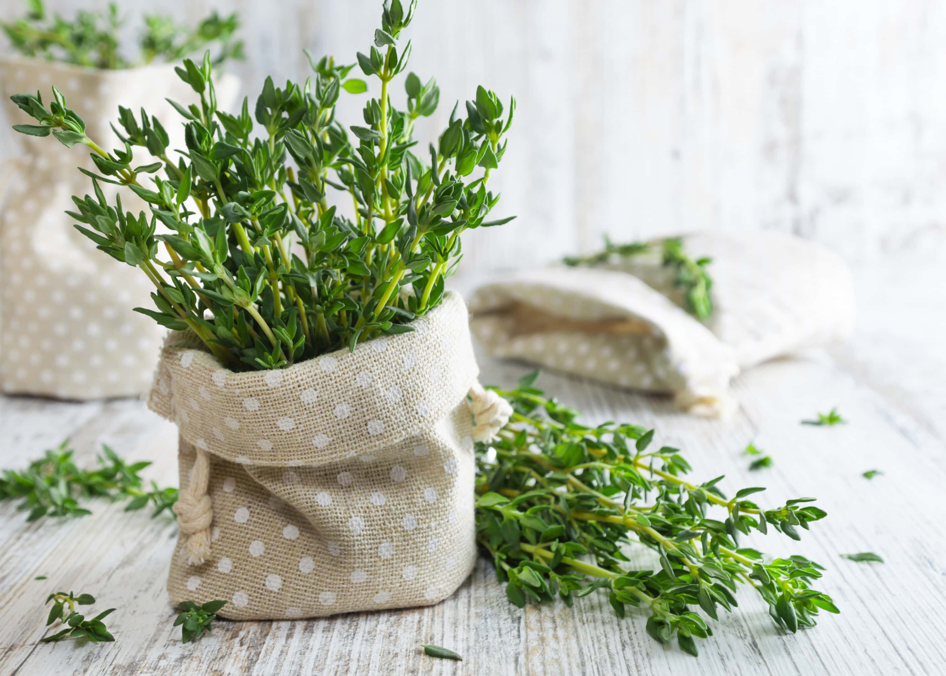 Fresh thyme in pouch on old wooden table