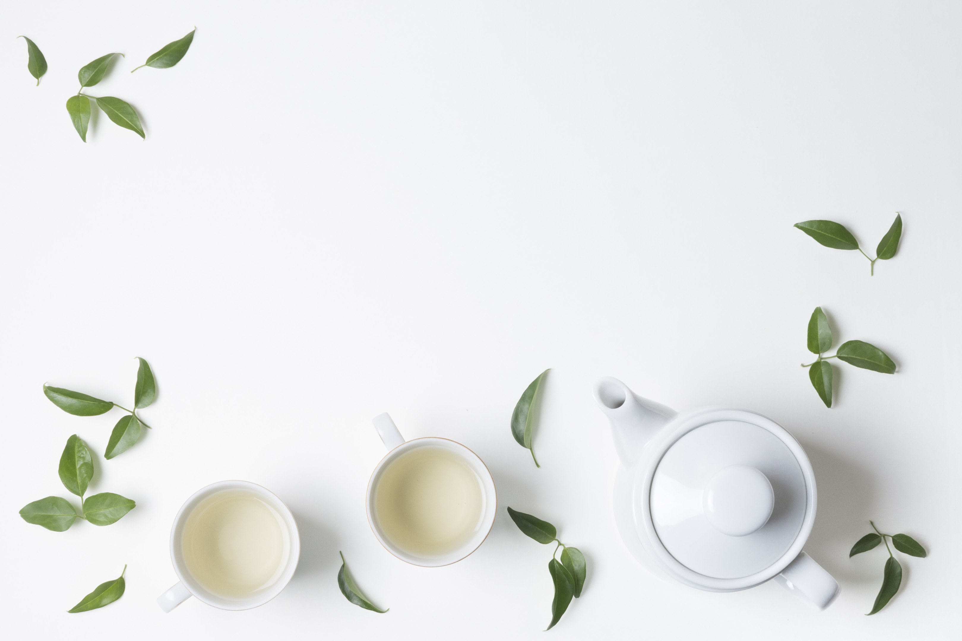 Lemon leaves with cup and teapot on isolated white background