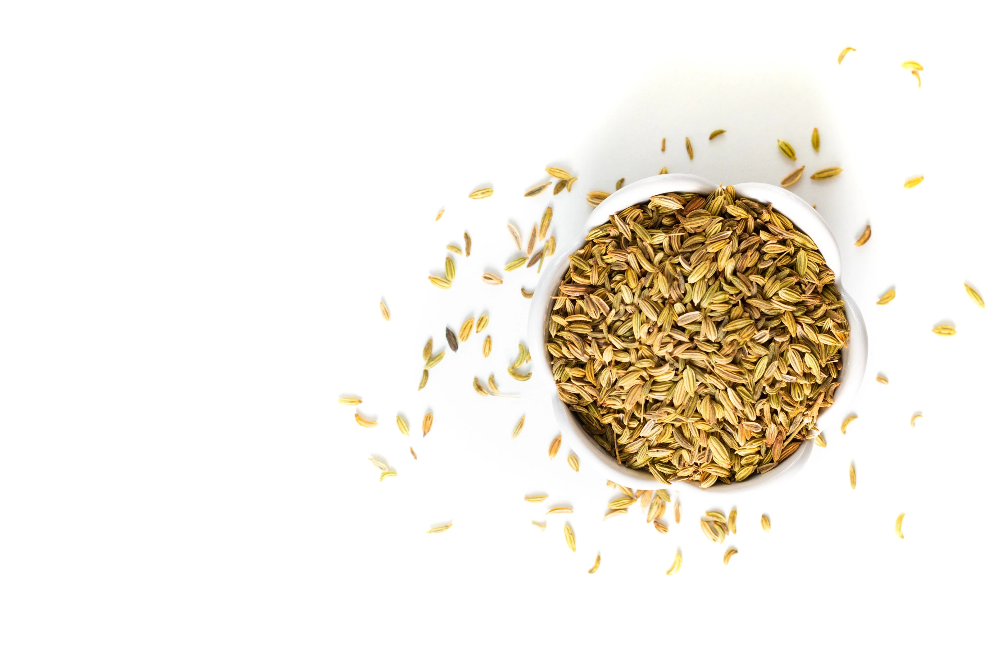 Fennel seeds on white background