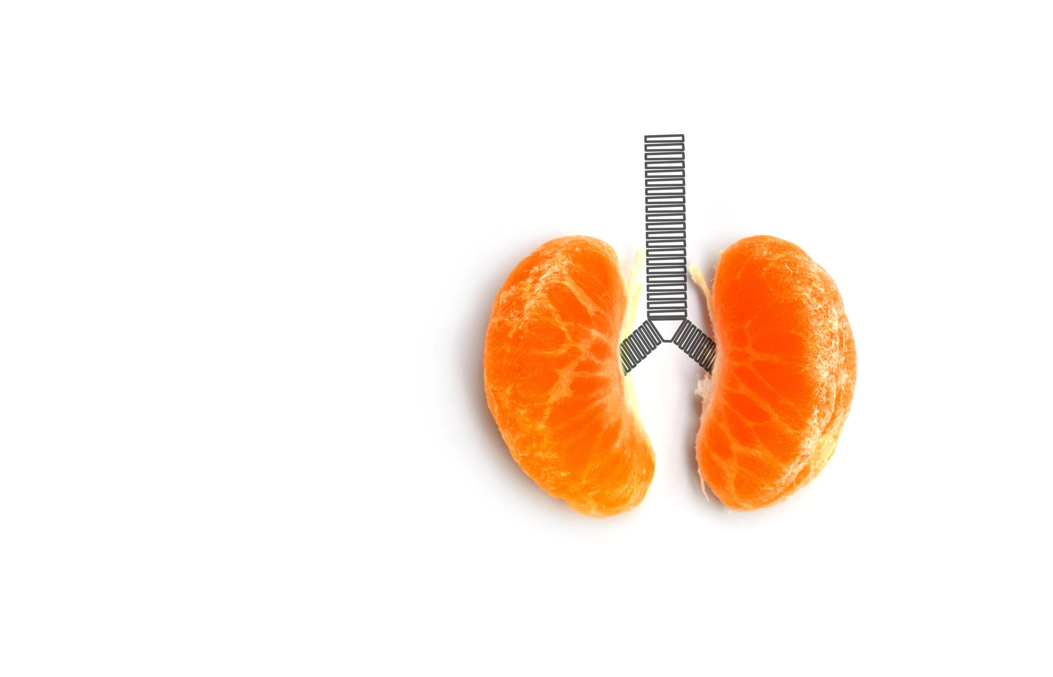 Tangerines concept kidneys on white background