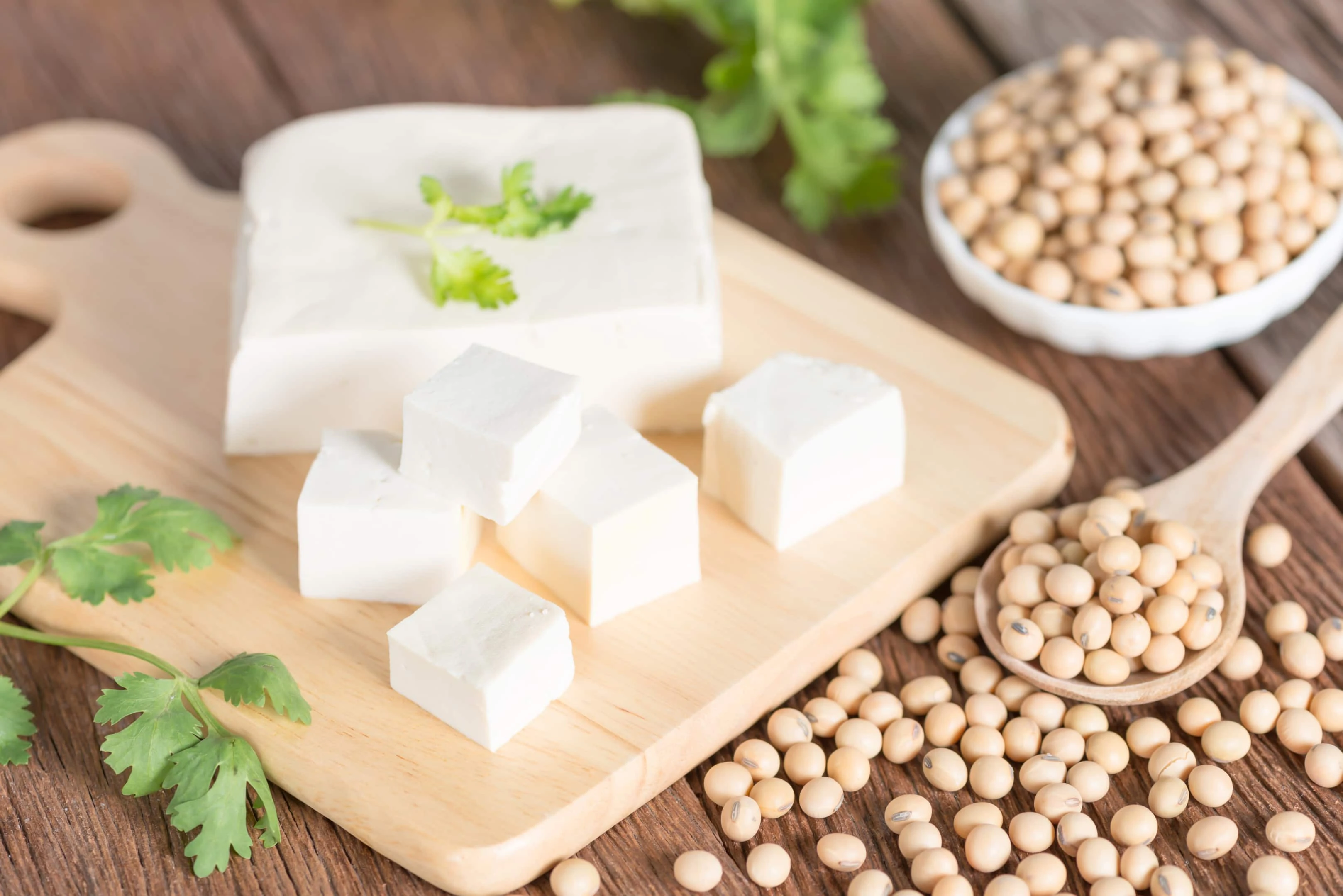 Tofu with soy beans