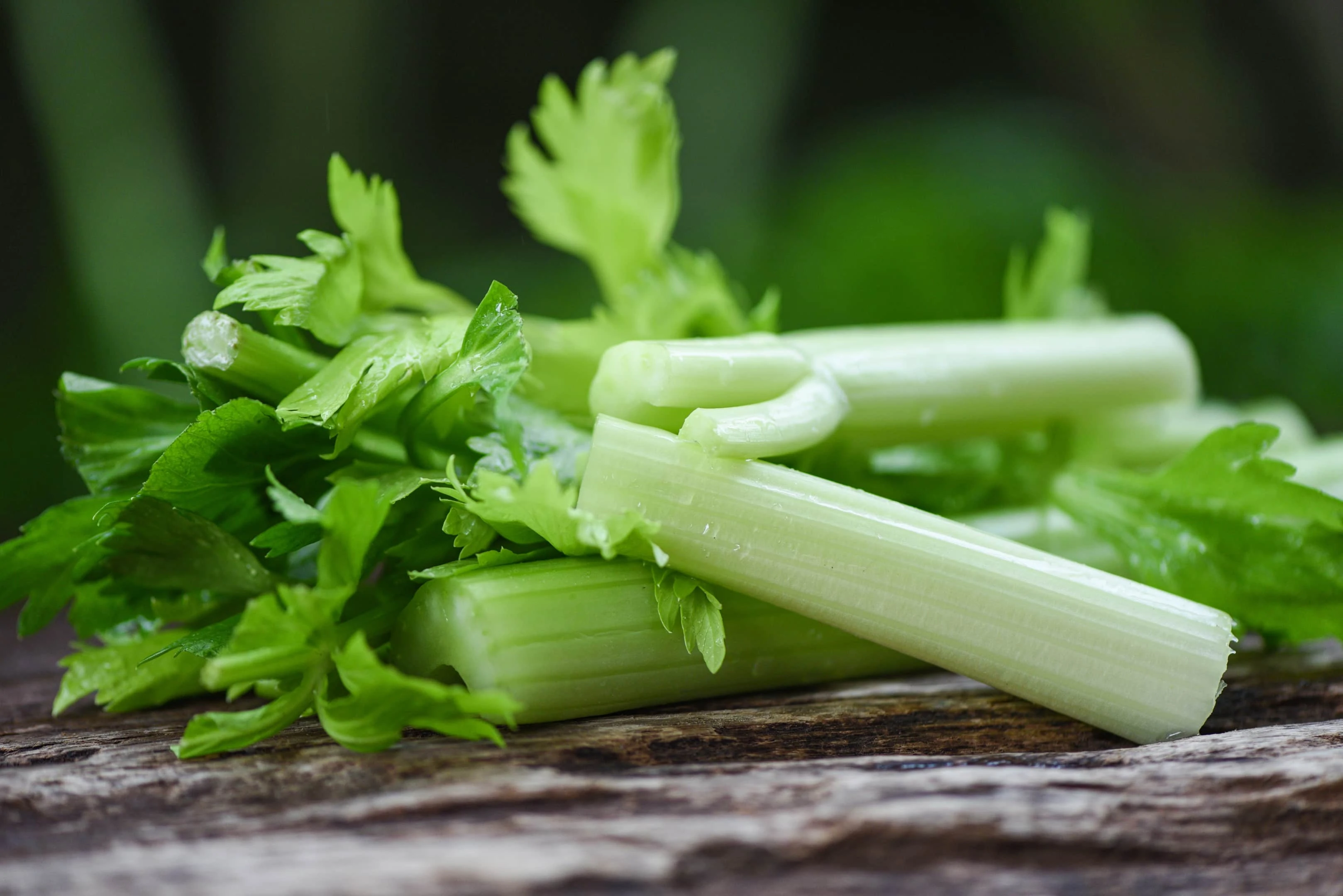 Fresh celery stalk with leaves on wooden table