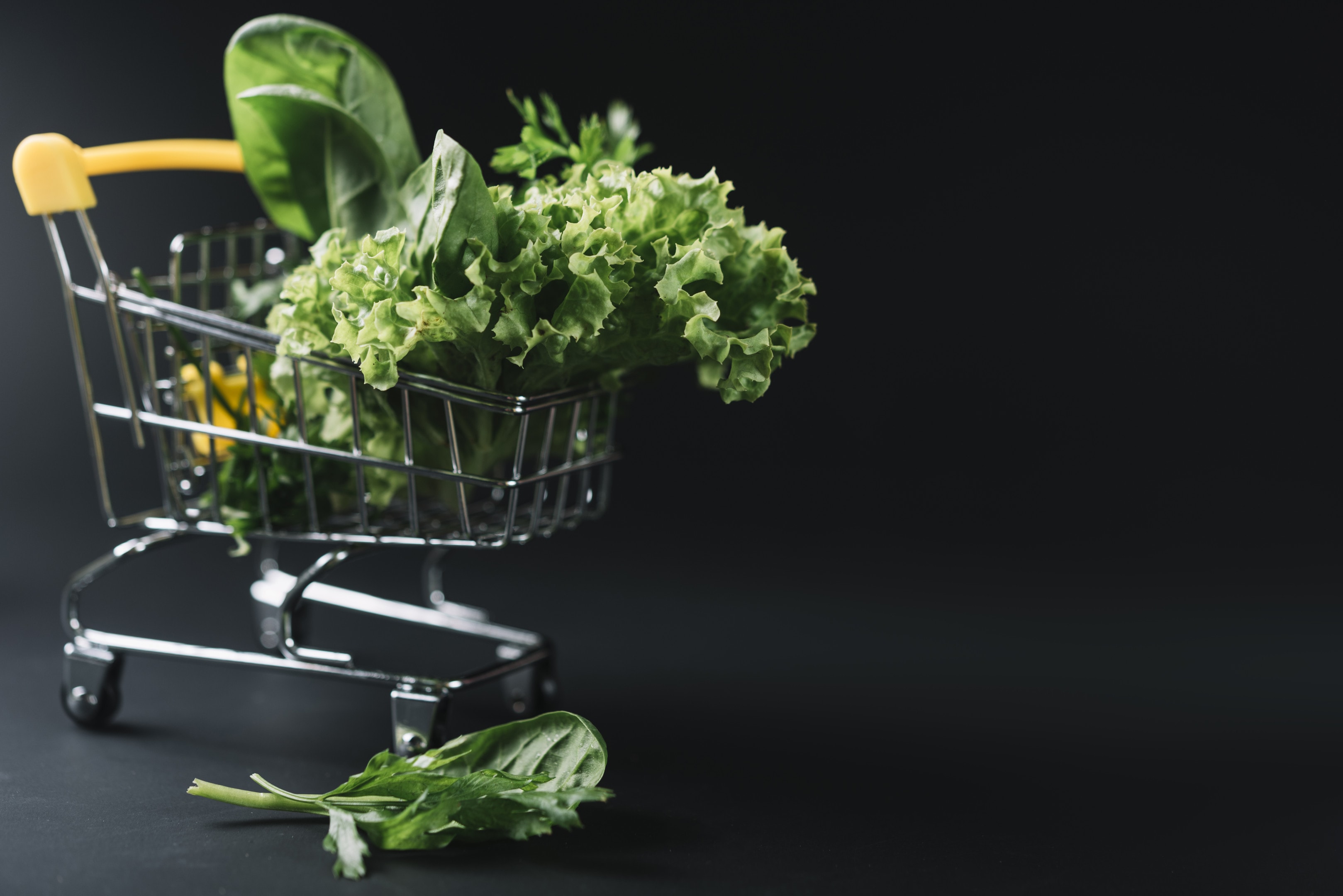 Fresh leafy green vegetables in small shopping cart on dark background