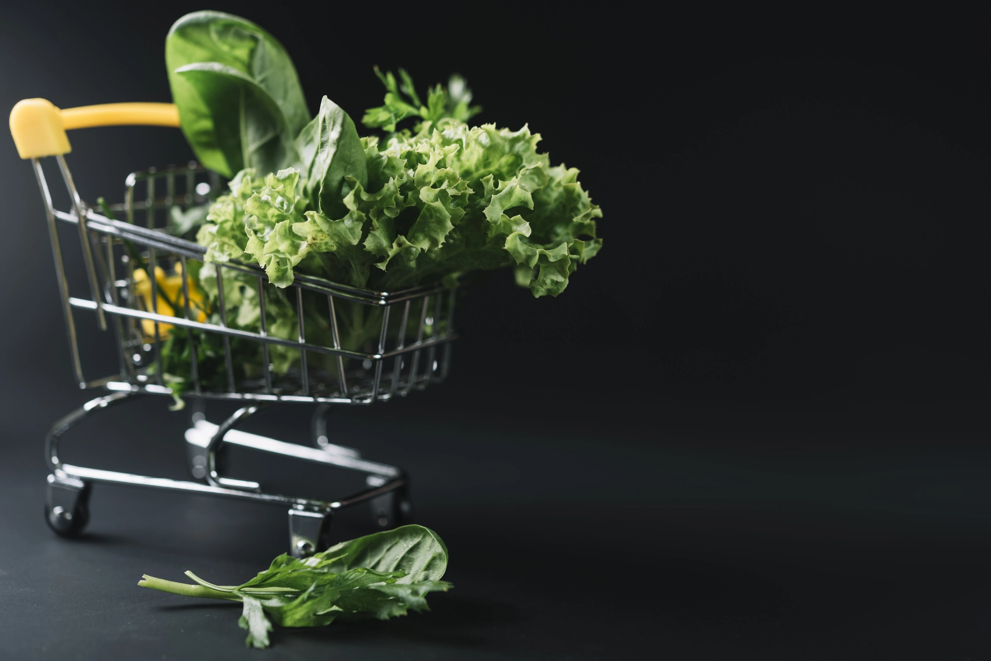 Fresh leafy green vegetables in small shopping cart on dark background