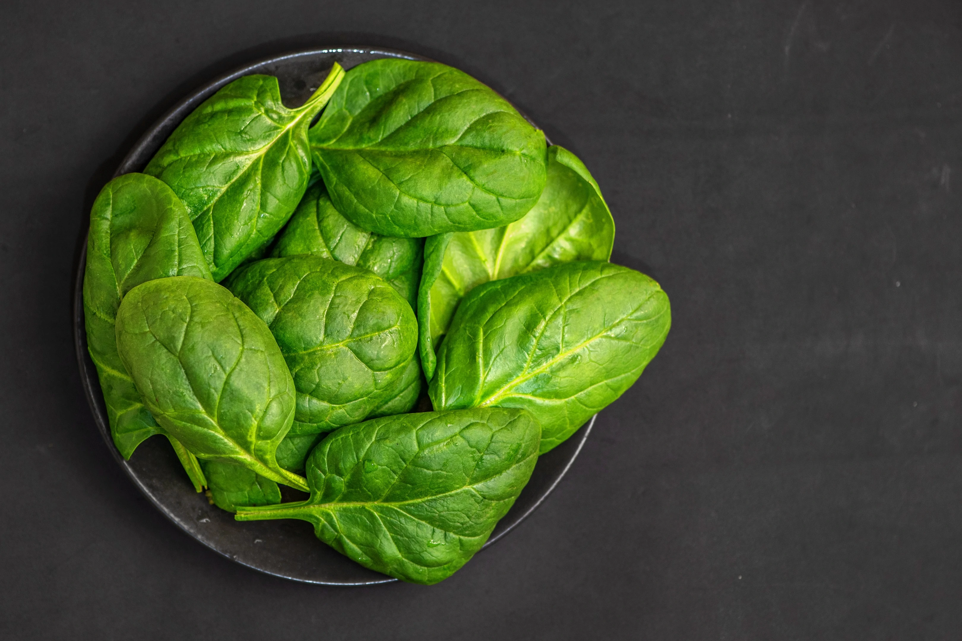 Fresh spinach leaves in bowl on dark background