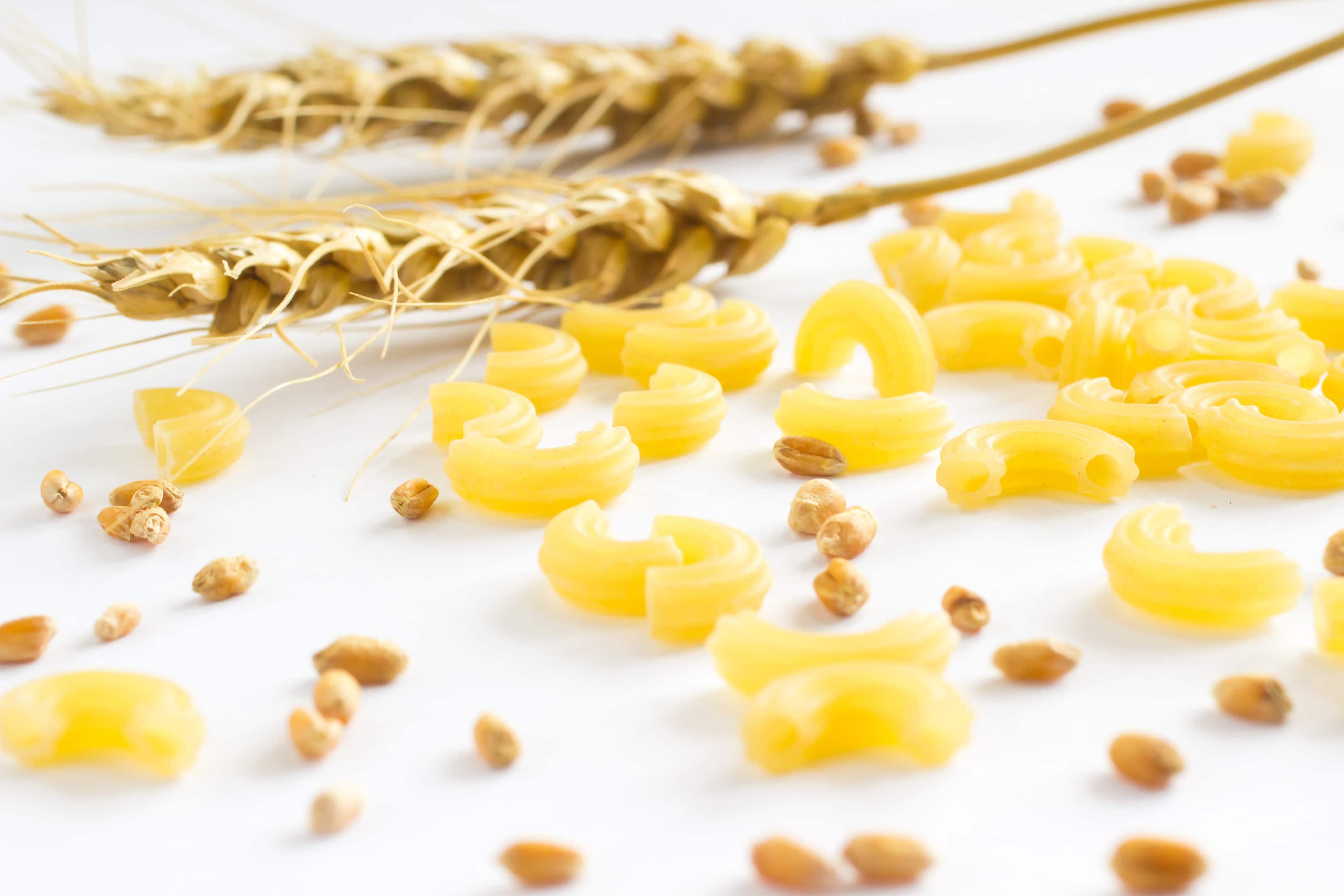 Gluten pasta tubes and wheat twigs with wheat grains on white background
