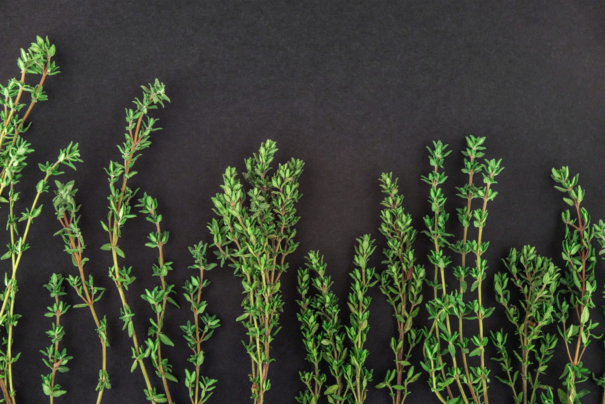 sprig of thyme substitute