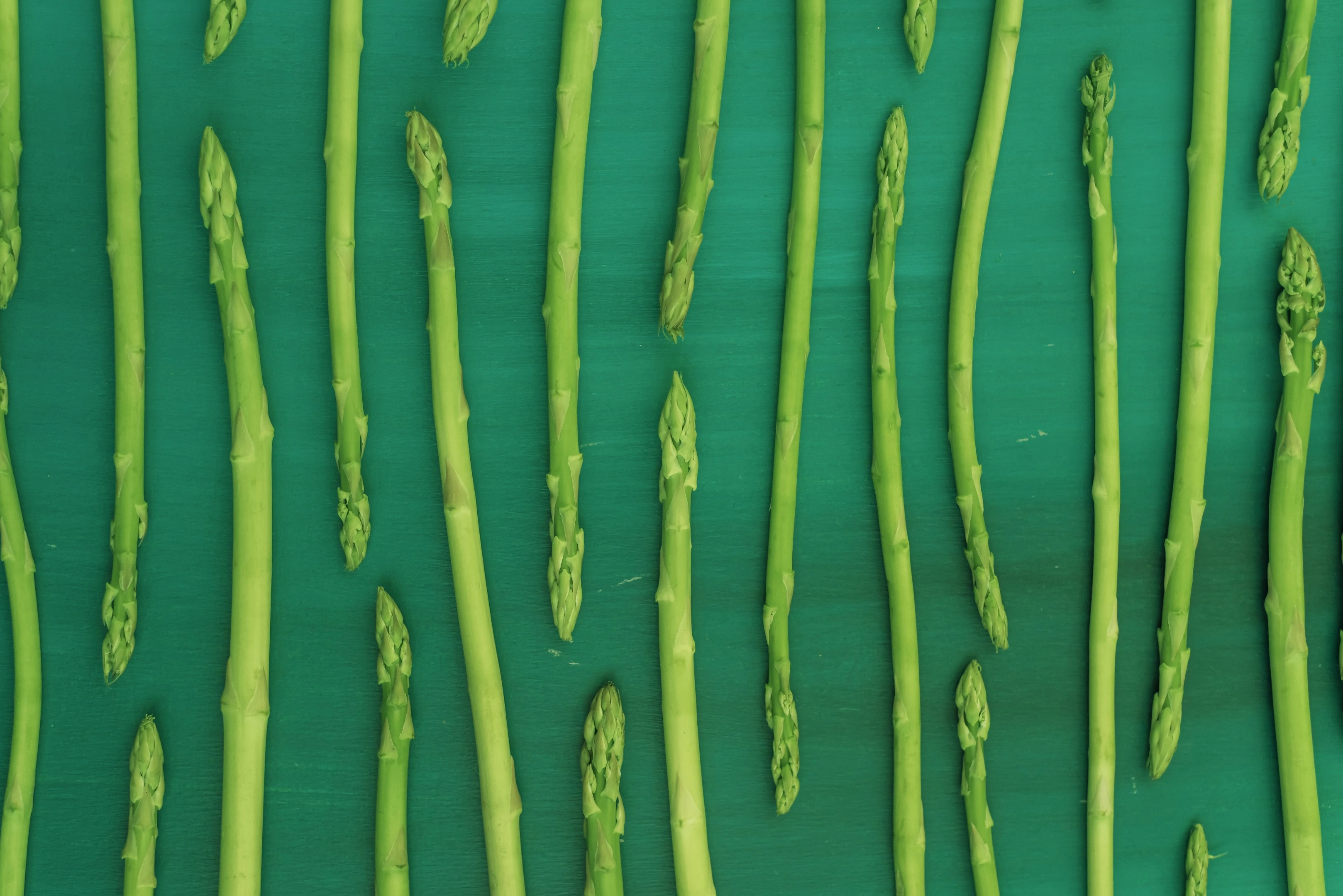 Fresh green asparagus on green background