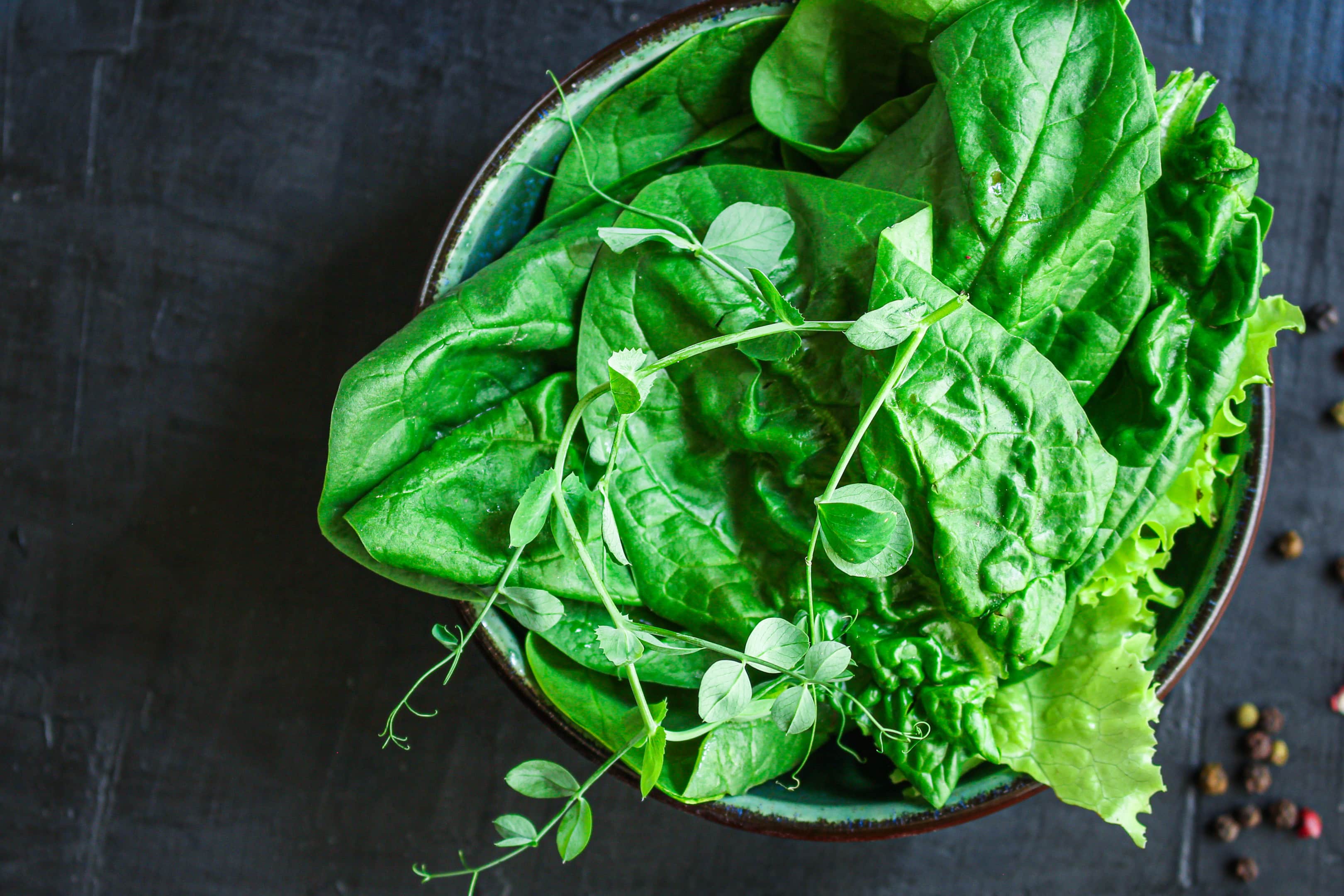 Green salad of spinach arugula lettuce microgreen in ceramic plate