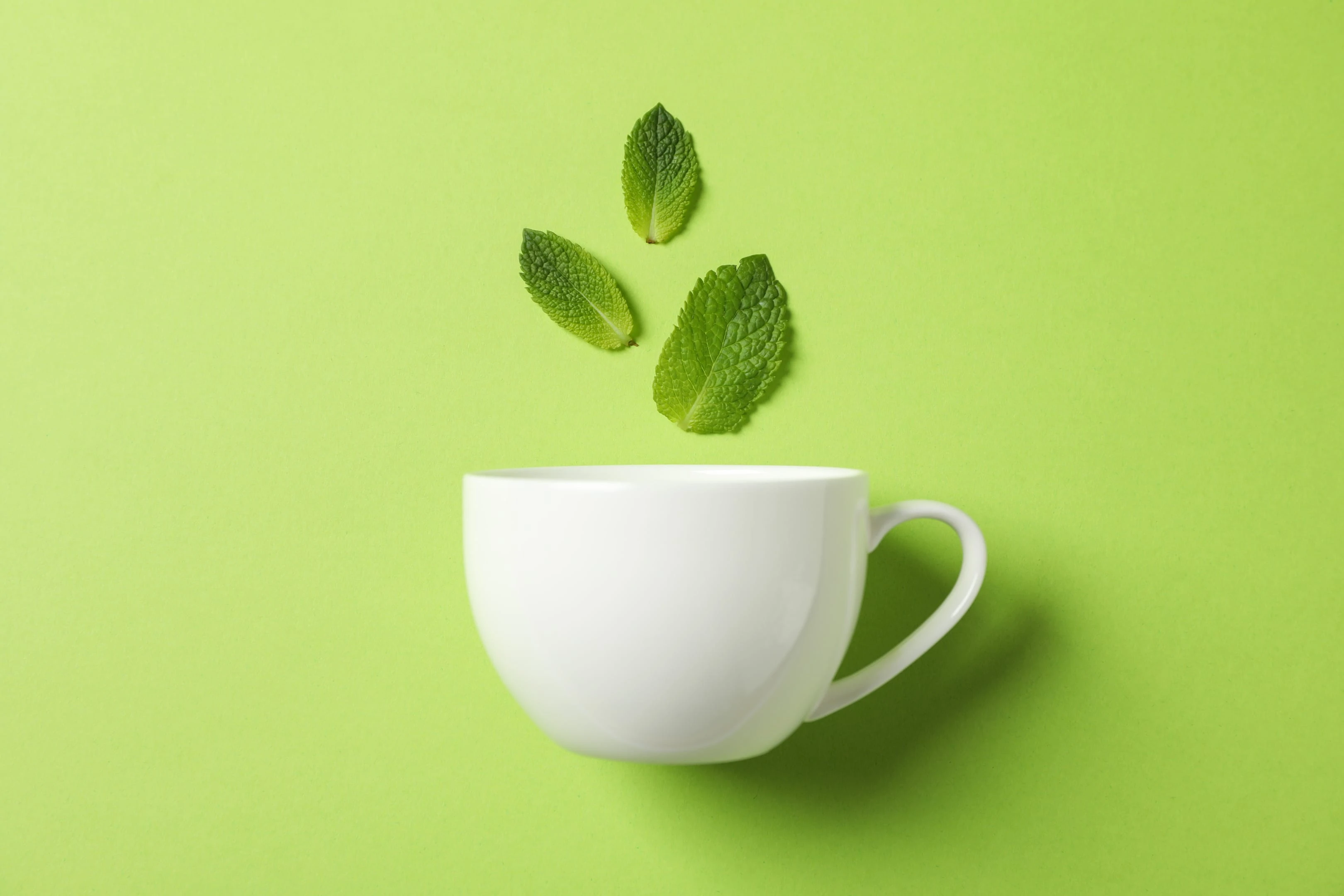 Green tea in white cup with mint leaves on green background