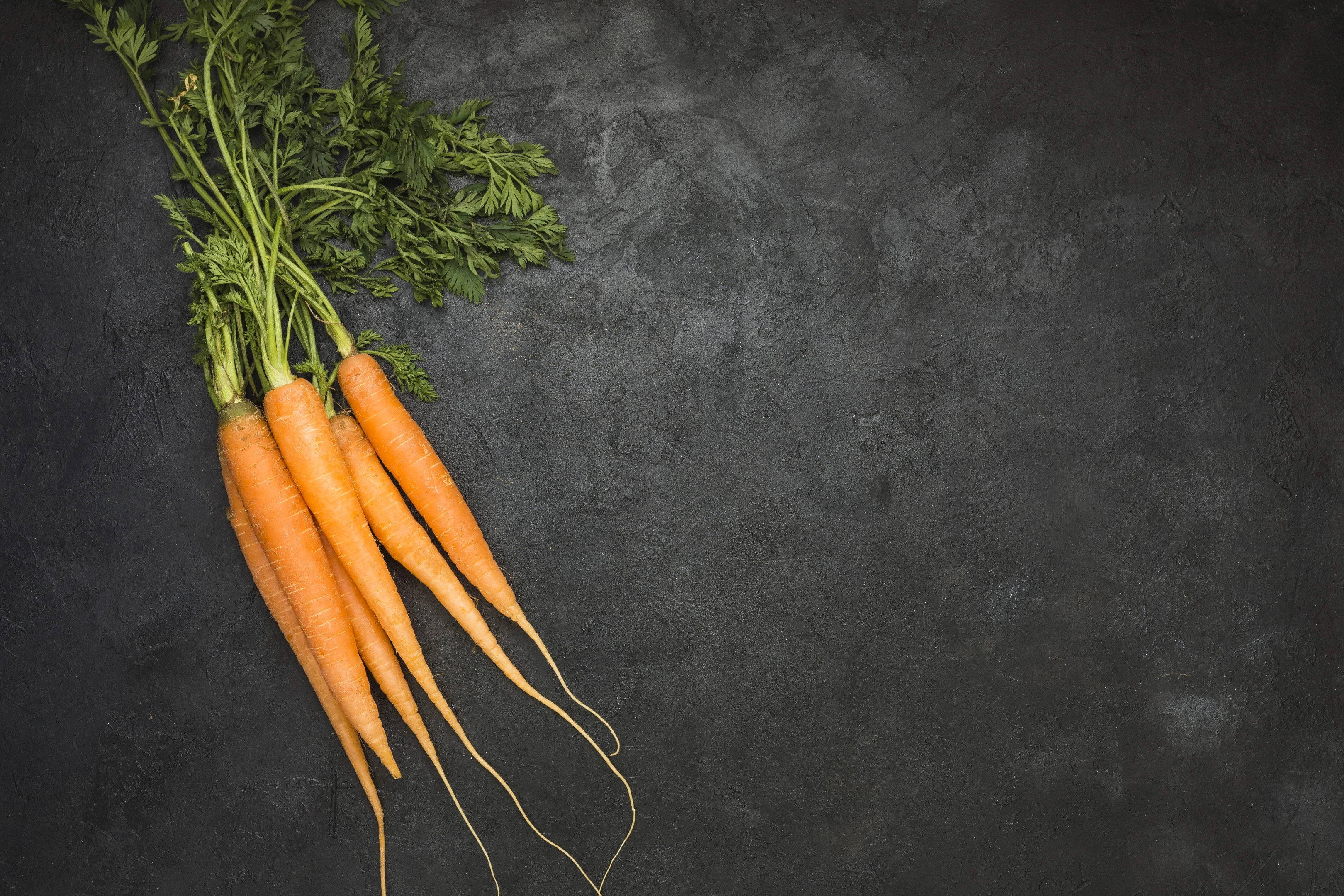 Fresh carrots on dark background