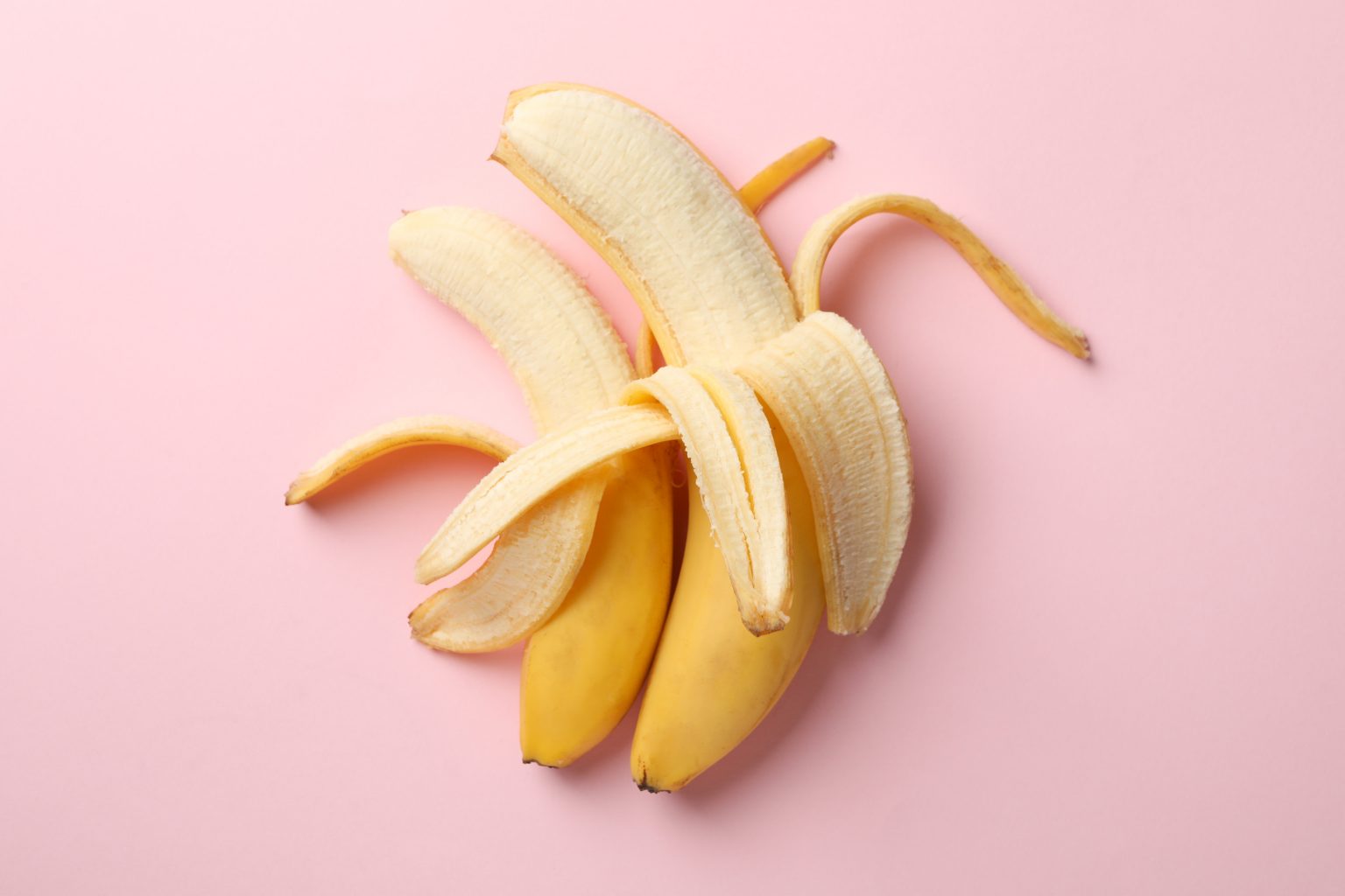 Scrubbing the Wall: a Lesson on High Carb Low Fat Foods - Blend of Bites