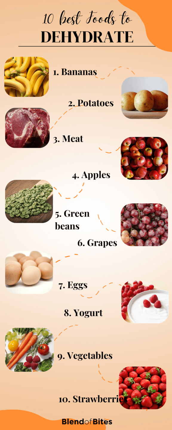 The Best Foods to Dehydrate What's Worth Preserving Blend of Bites