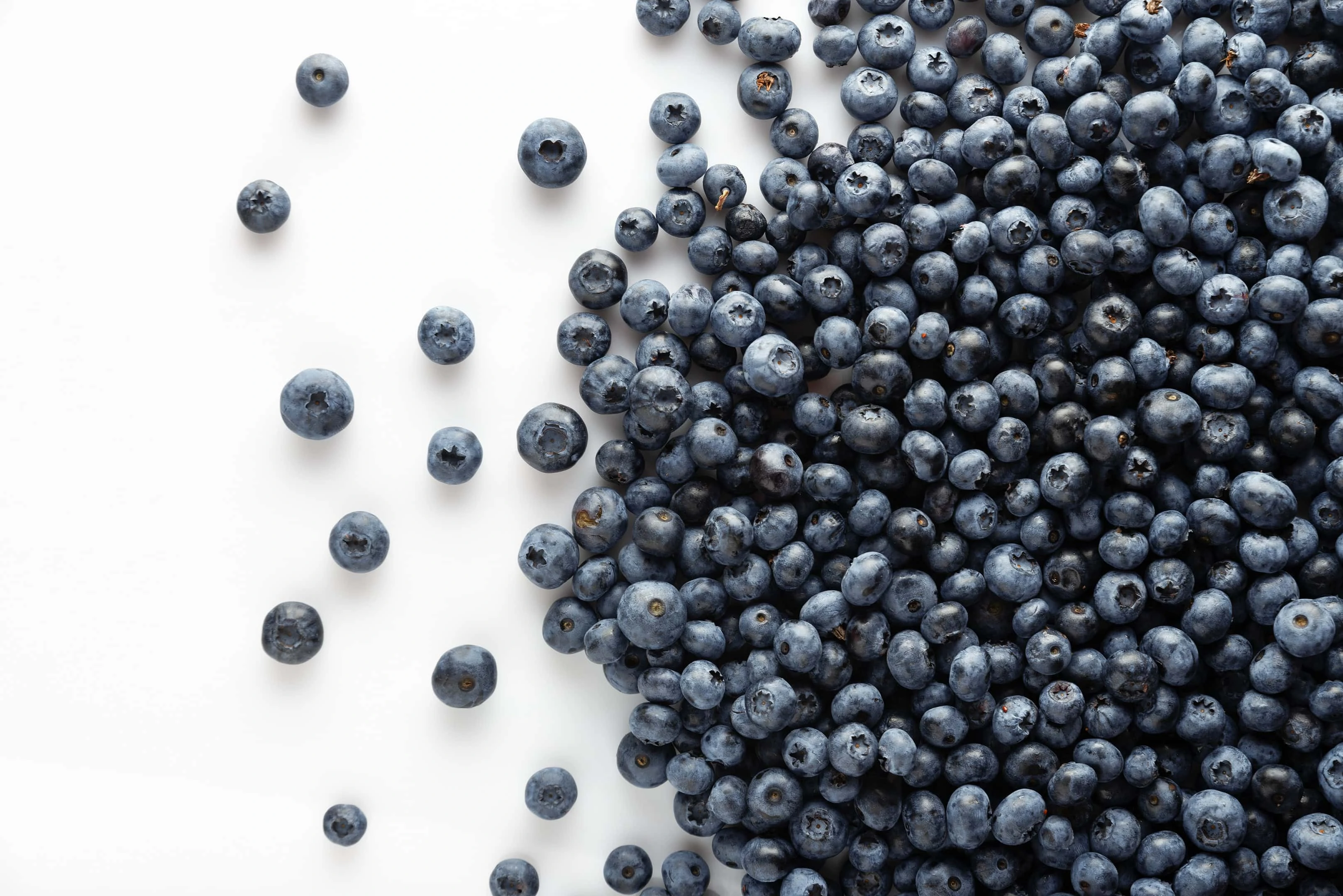 Blueberries scattered on white table