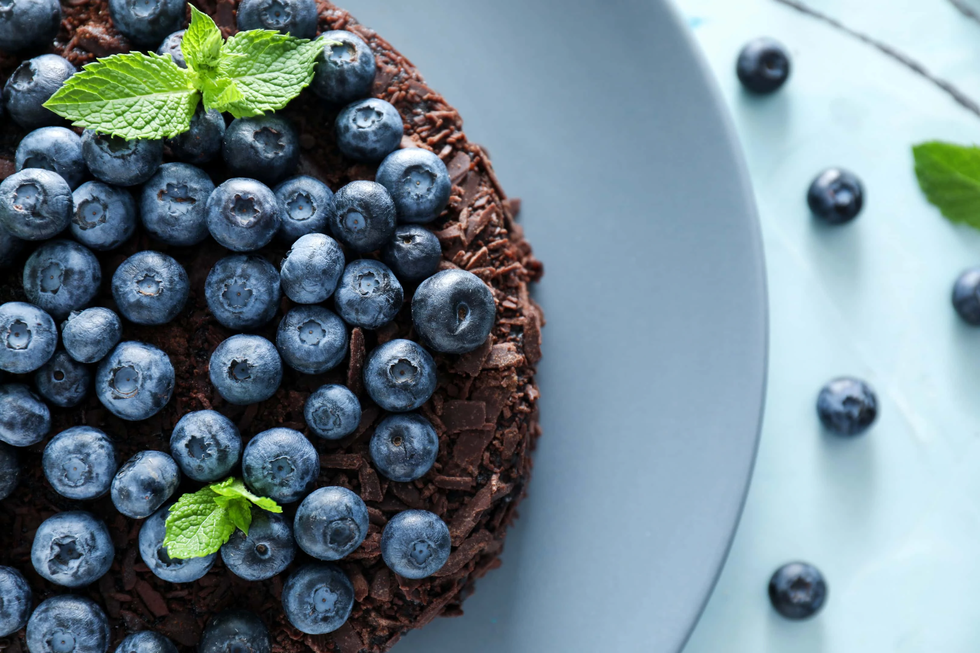 Delicious blueberry chocolate cake on plate